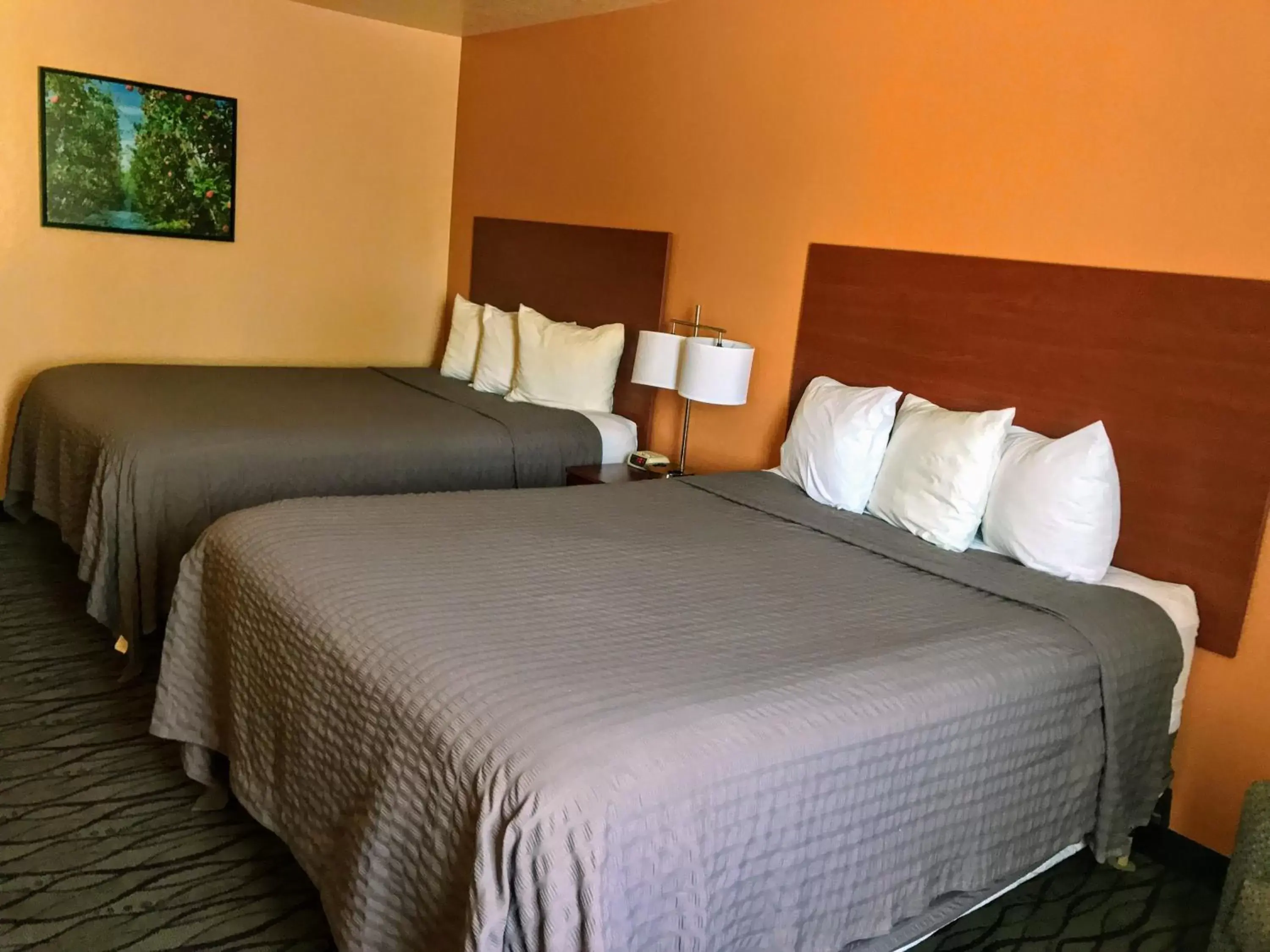 Bed in SureStay Hotel by Best Western Wenatchee