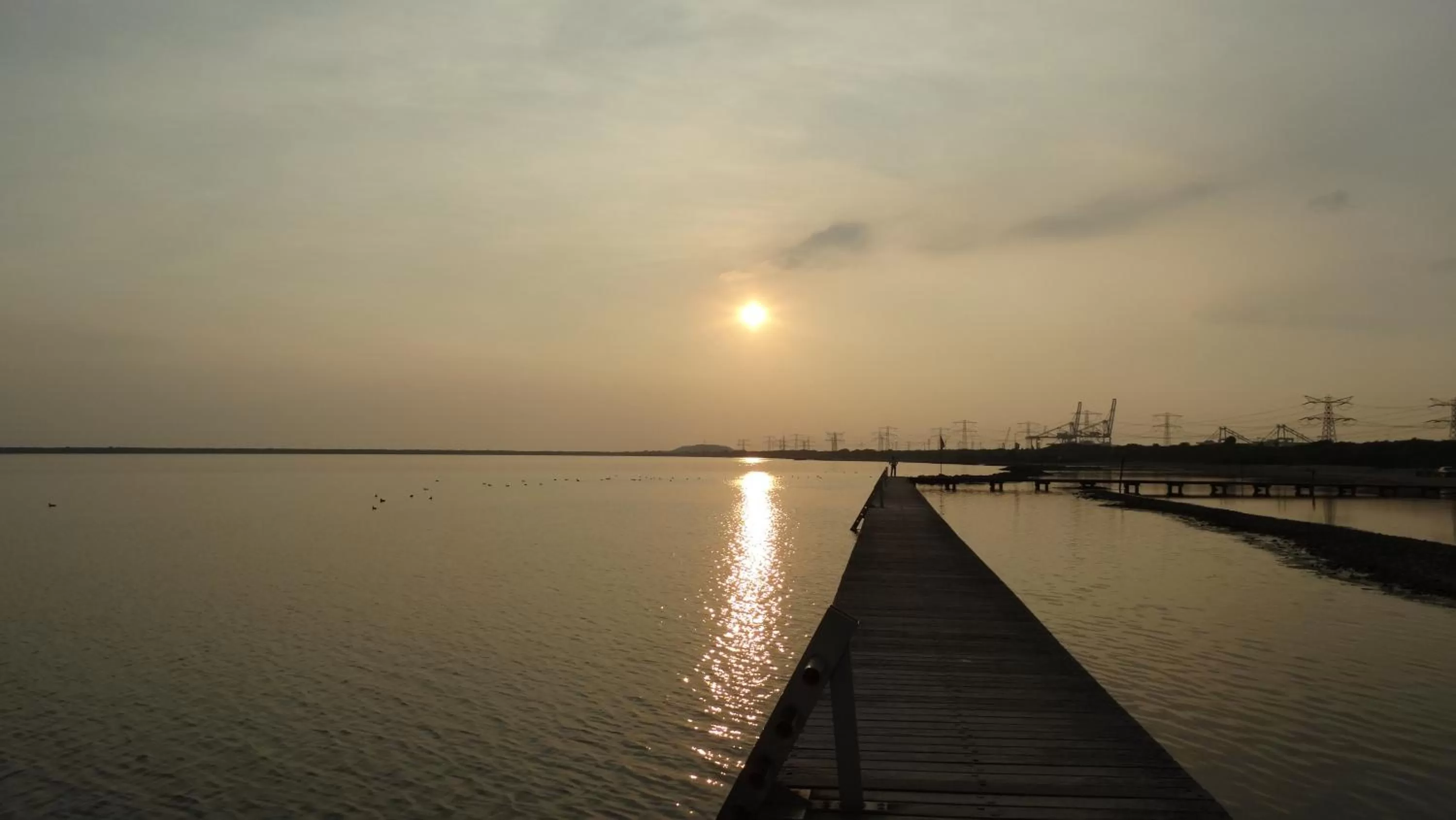 On site, Natural Landscape in Beach Hotel Oostvoorne