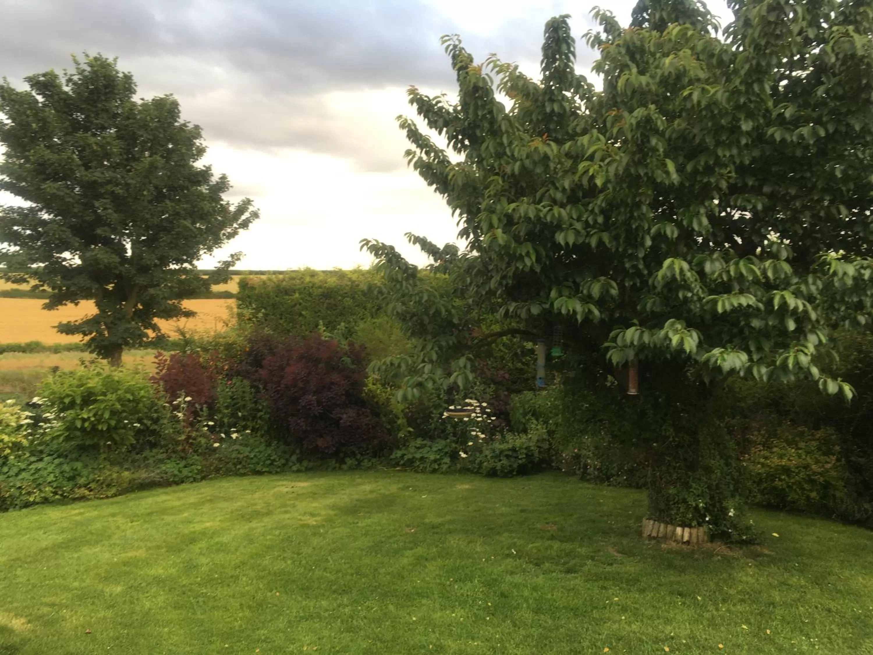 Garden view in West Wold Farm House B&B
