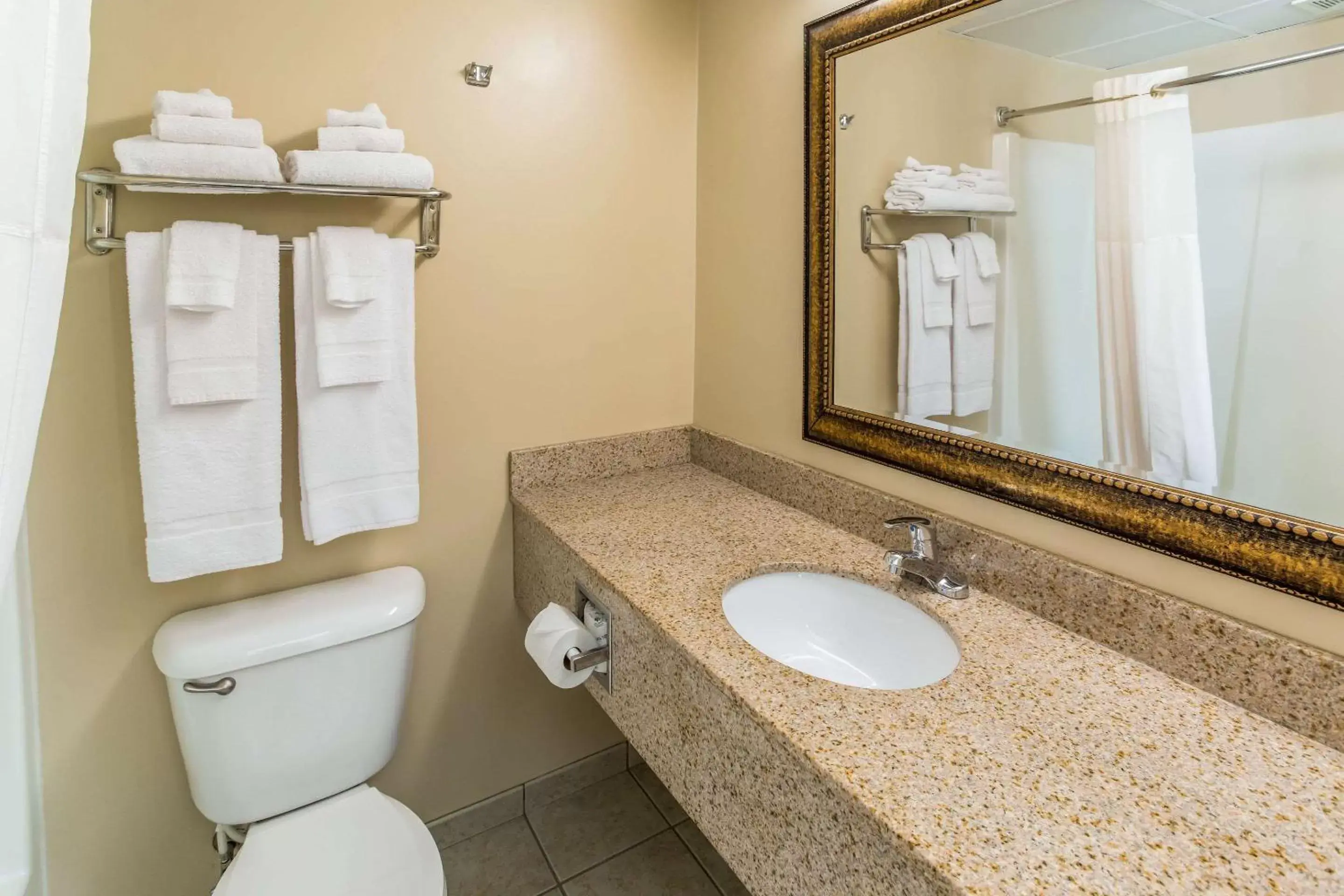 Bathroom in Quality Inn & Suites Downtown