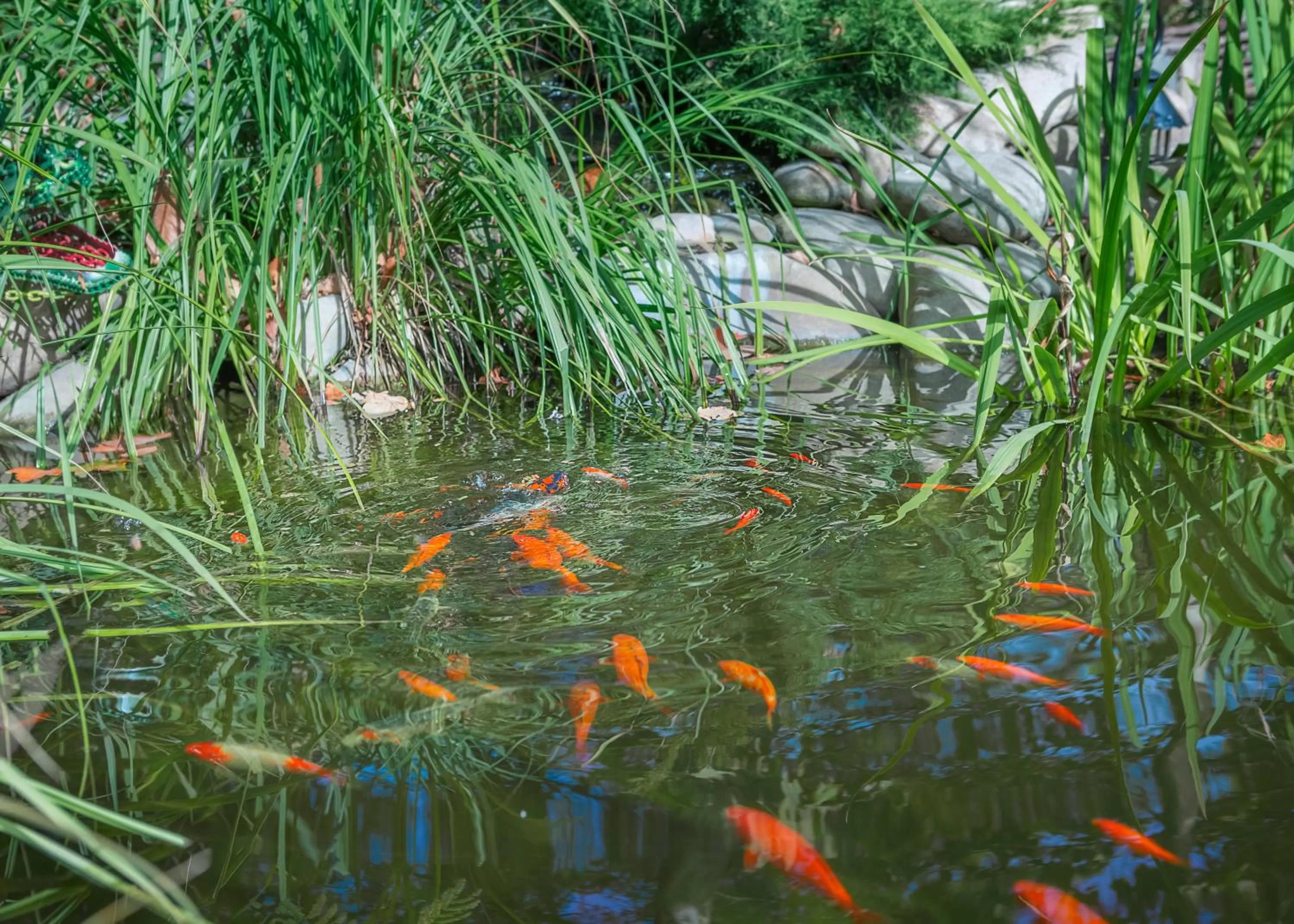 Restaurant/places to eat in Lermontovskiy Hotel