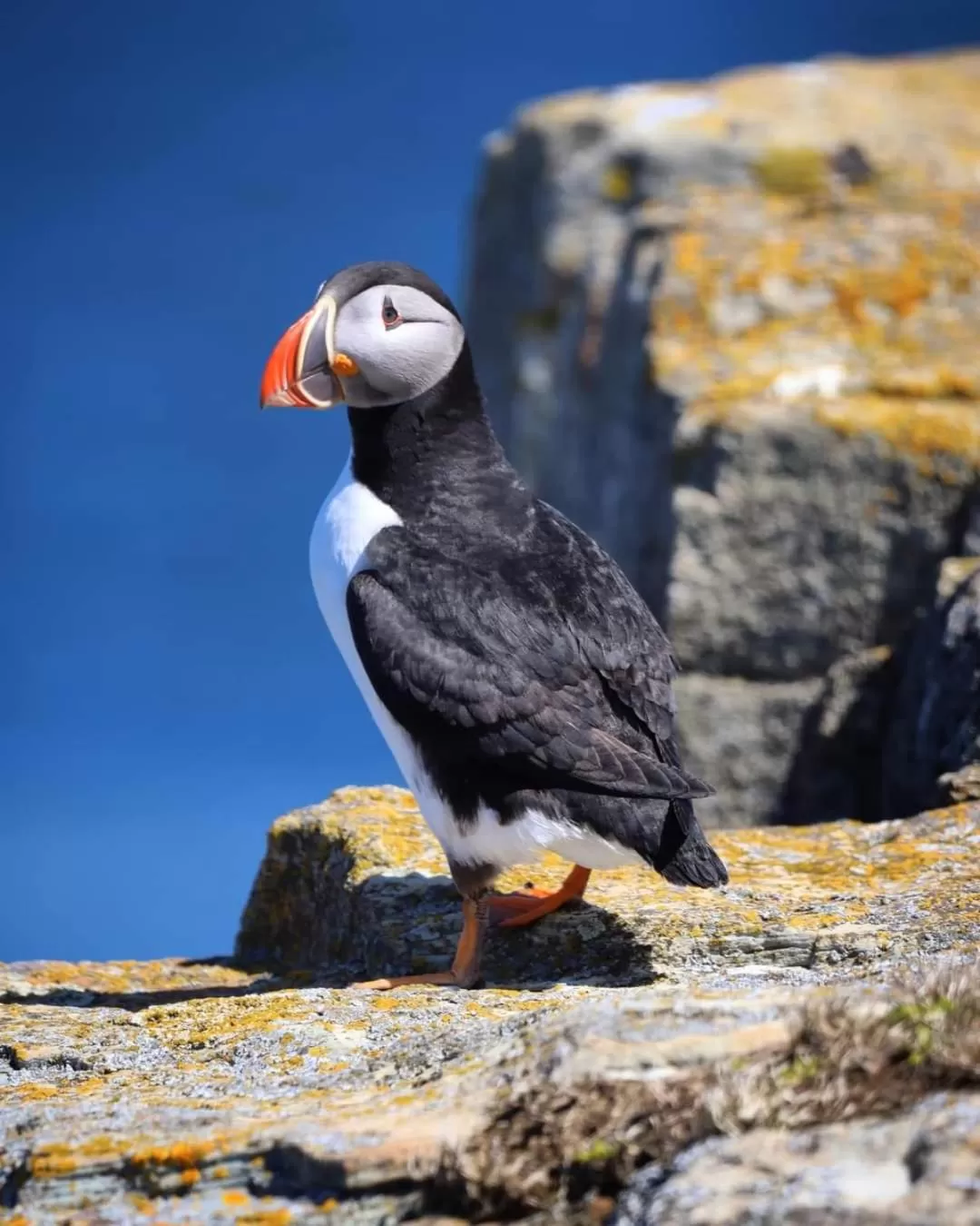 Natural landscape, Other Animals in The Harbourside Inn & Cafe