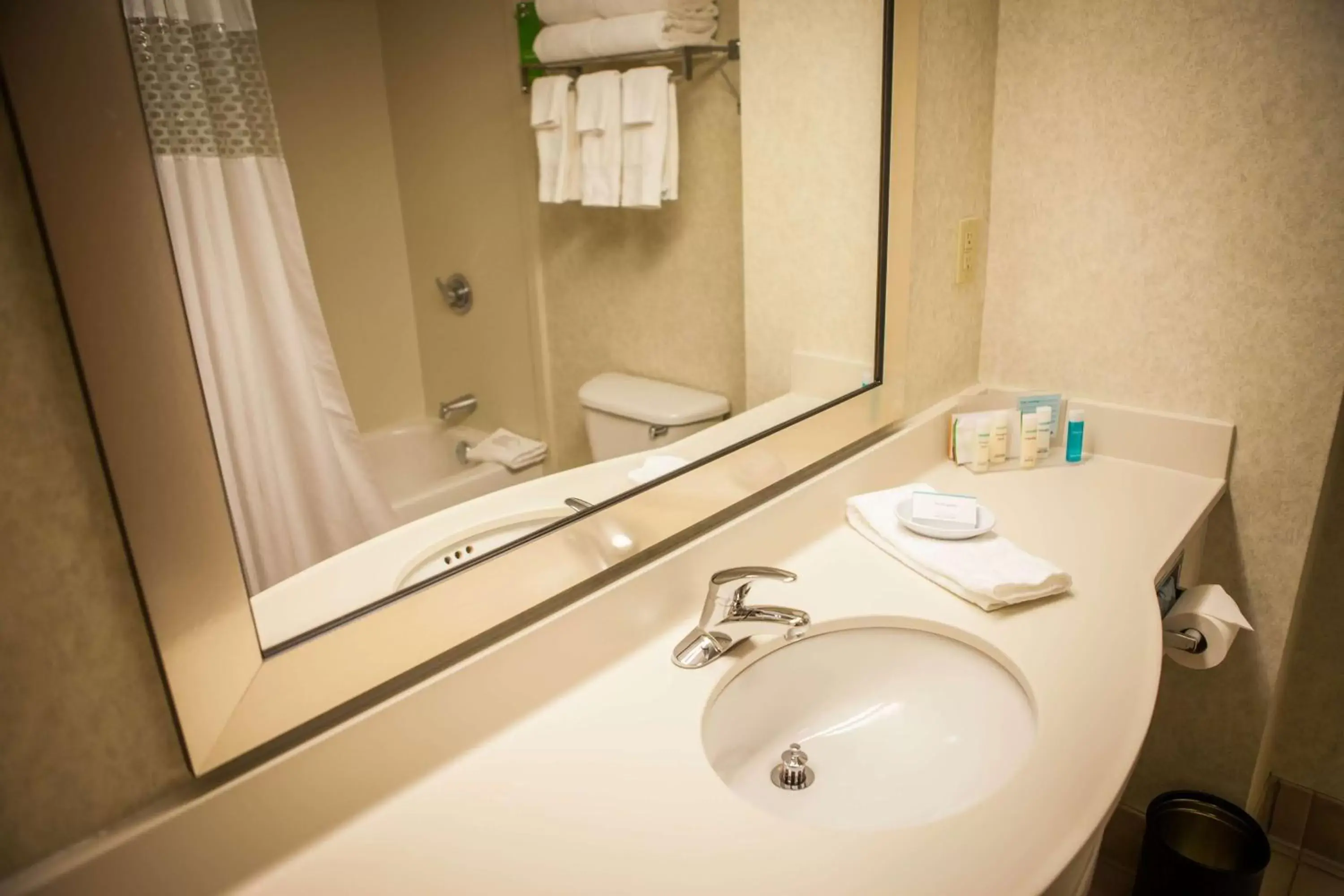 Bathroom in Hampton Inn & Suites, Springfield SW