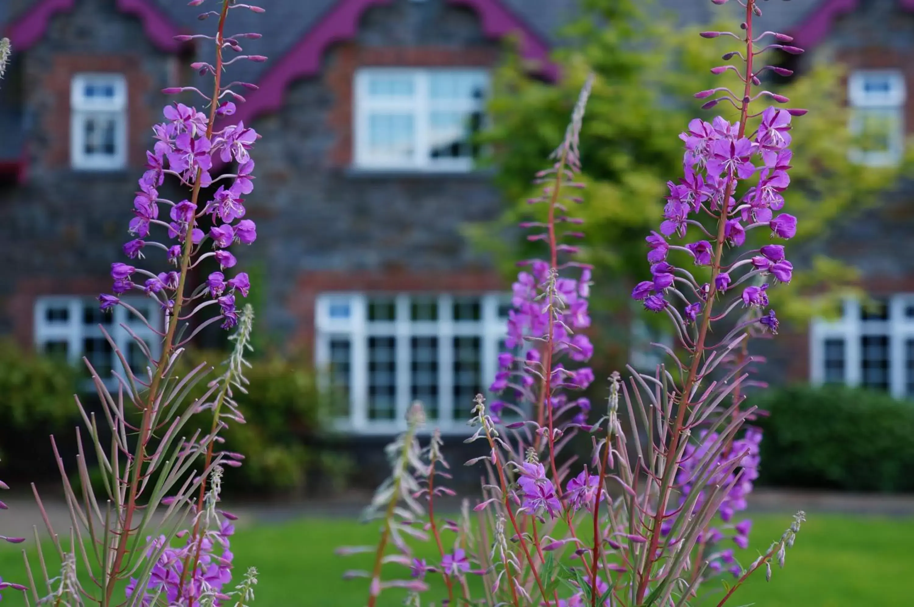 Property Building in Rossclare Lodge