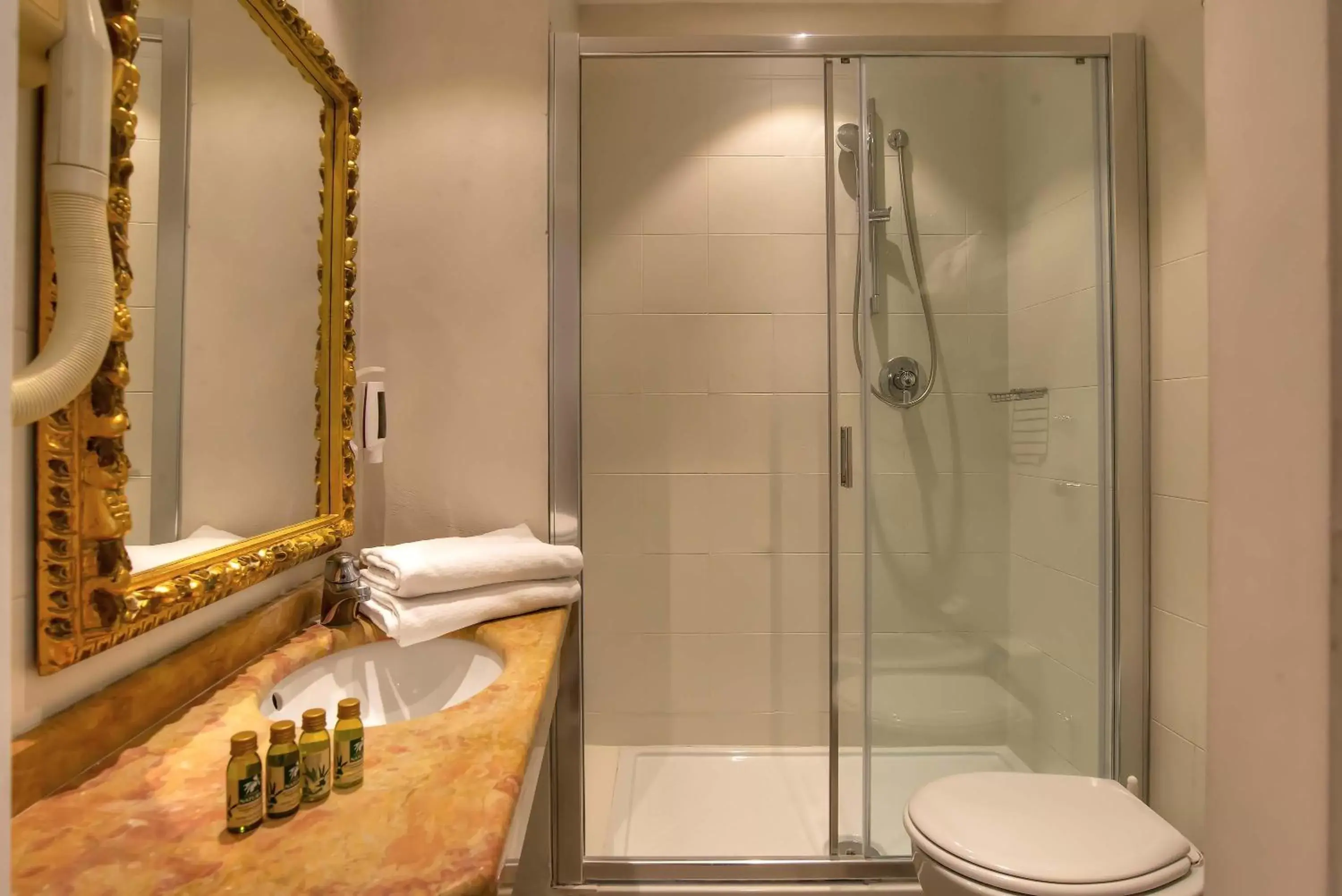 Shower, Bathroom in Hotel Machiavelli Palace