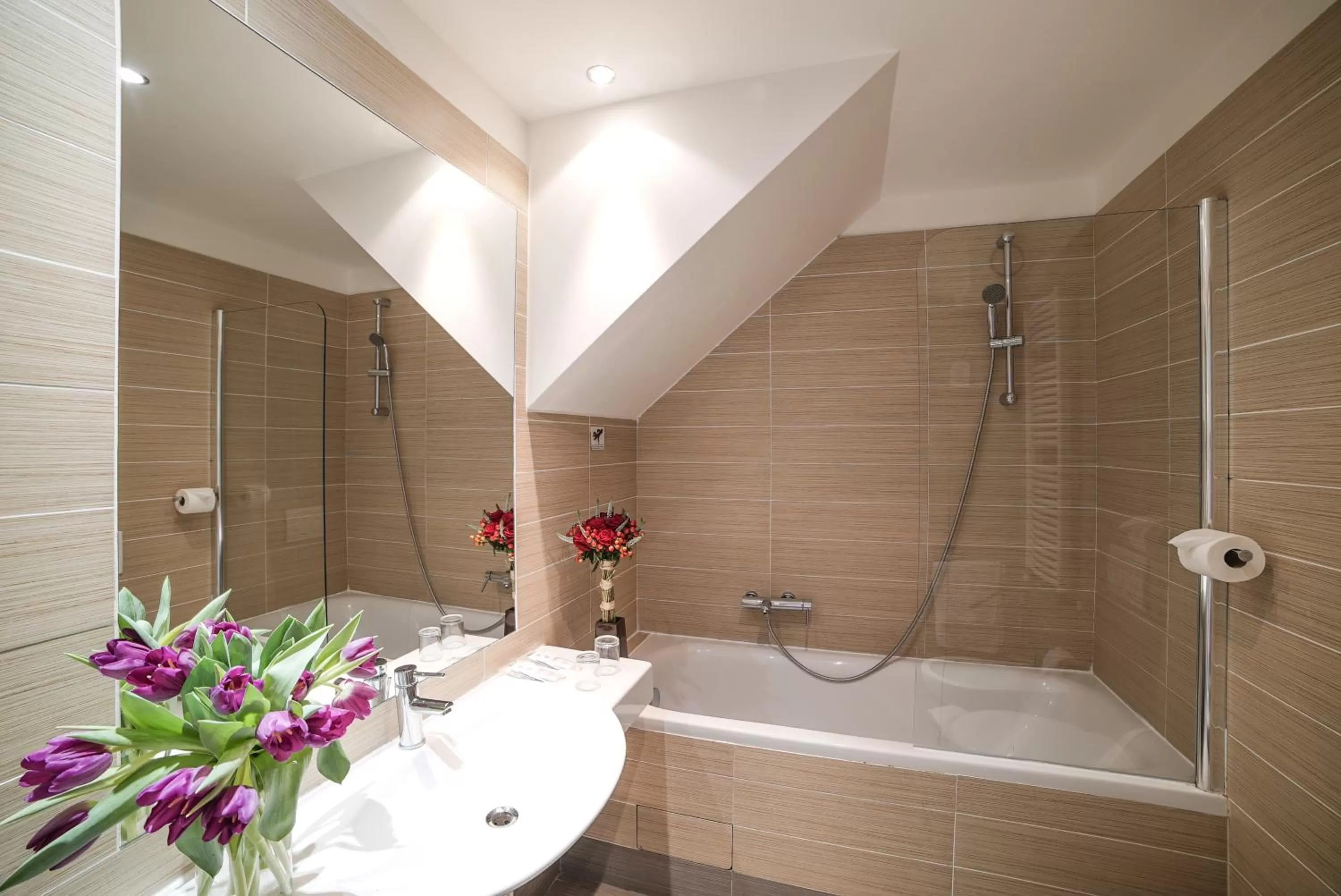 Bathroom in Hotel Assenzio Prague