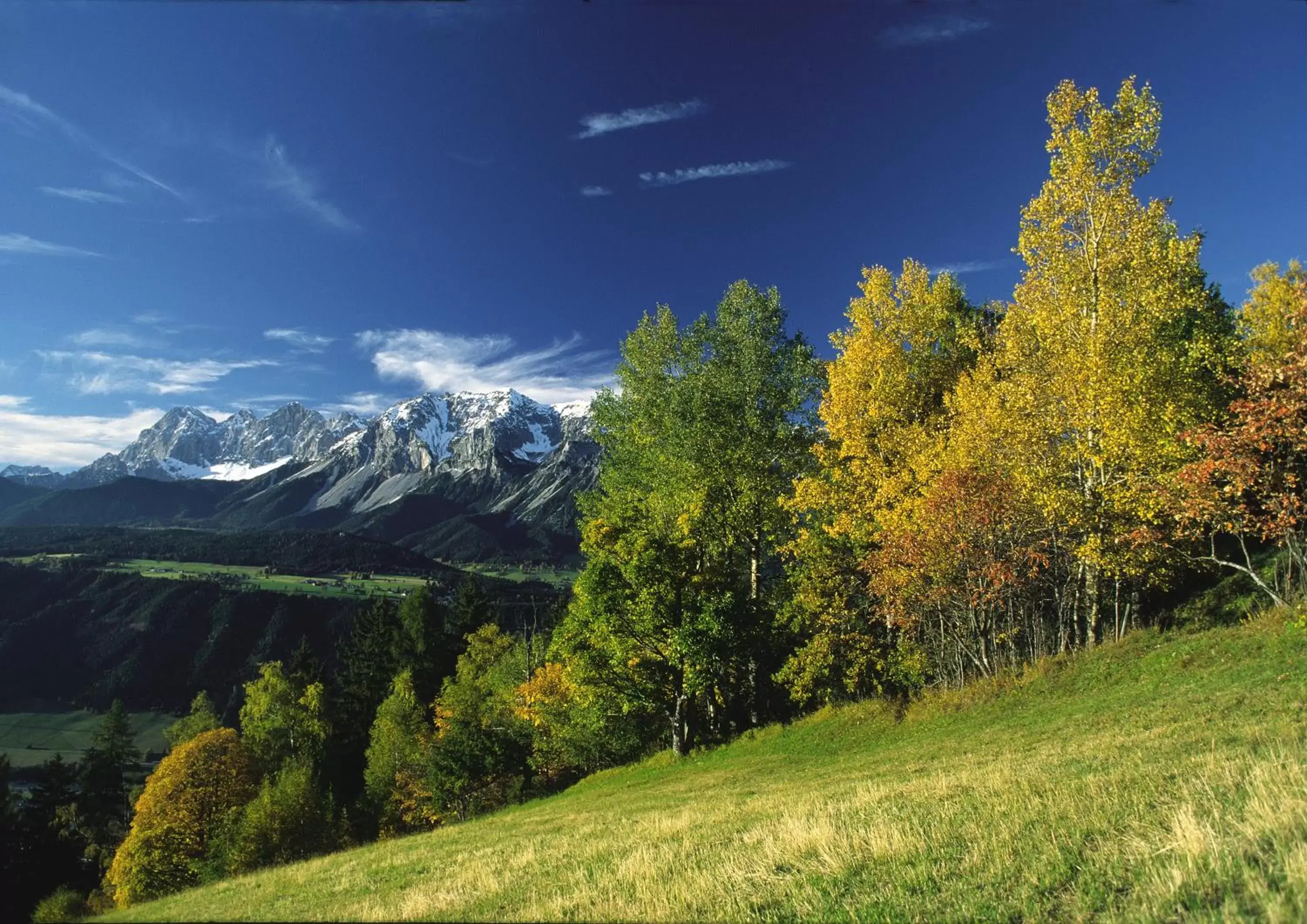 Cycling in Erzherzog Johann Alpin Style Hotel - Adults Only