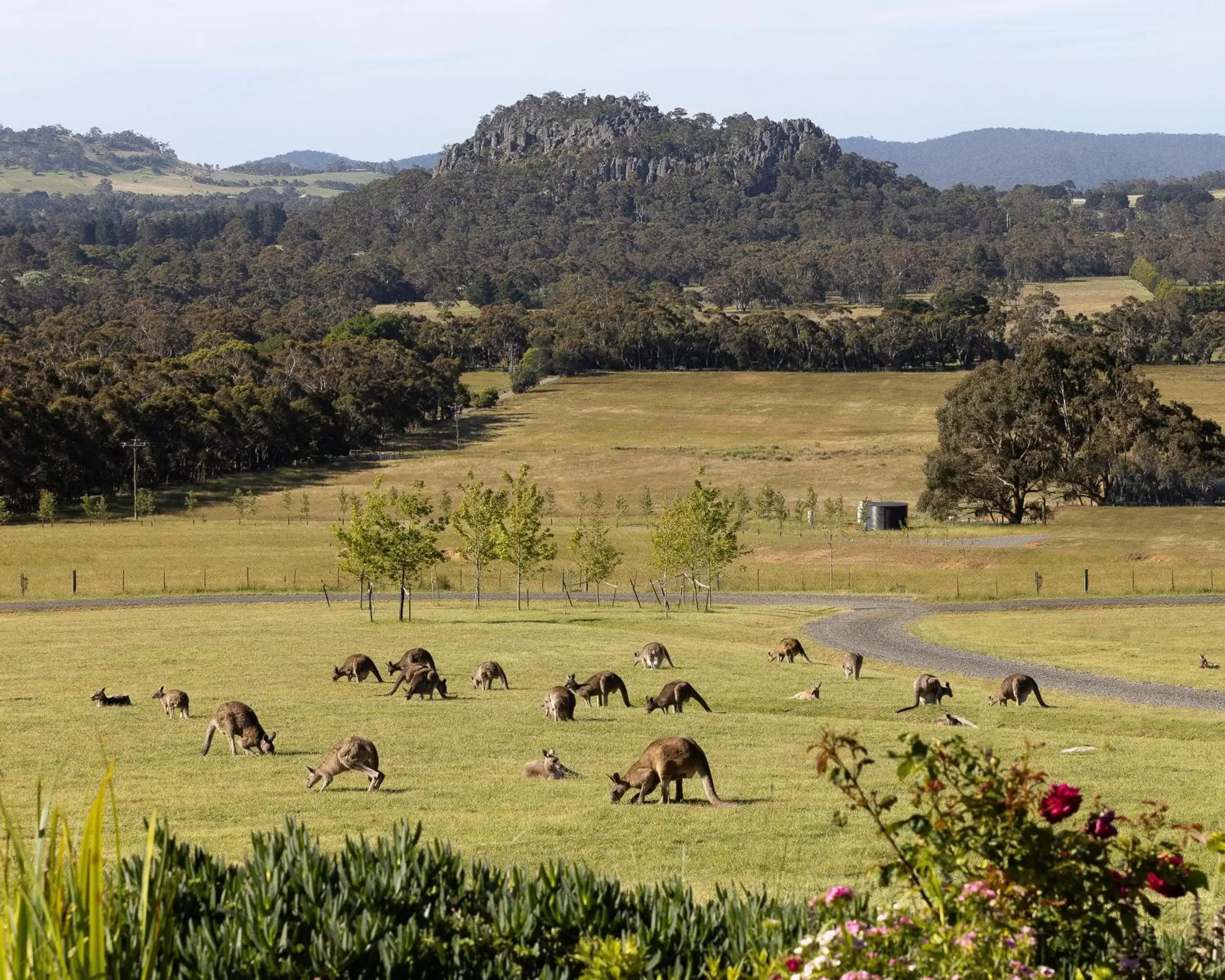 Hanging Rock Views Hanging Rock Views