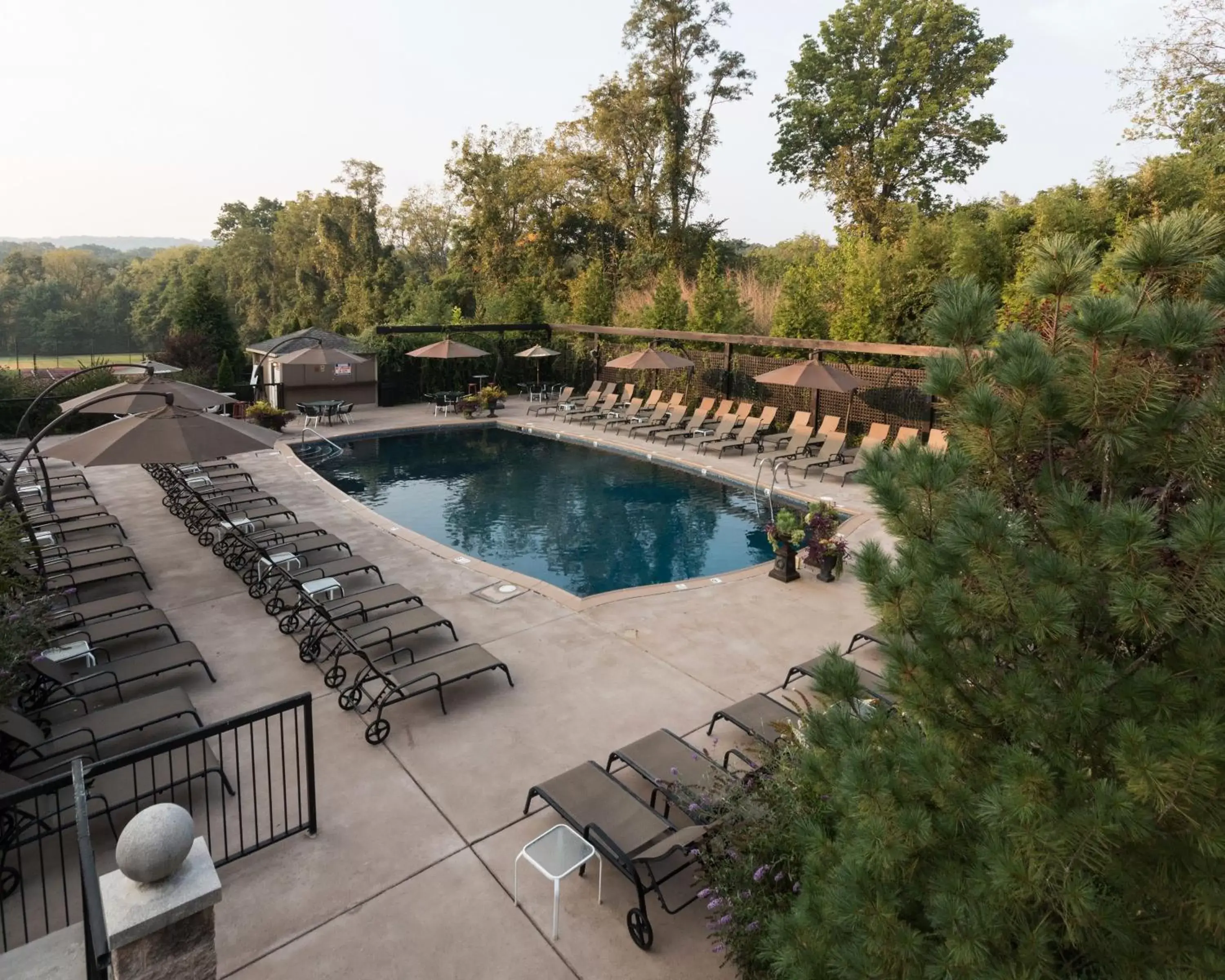 Pool view, Swimming Pool in New Hope Inn & Suites