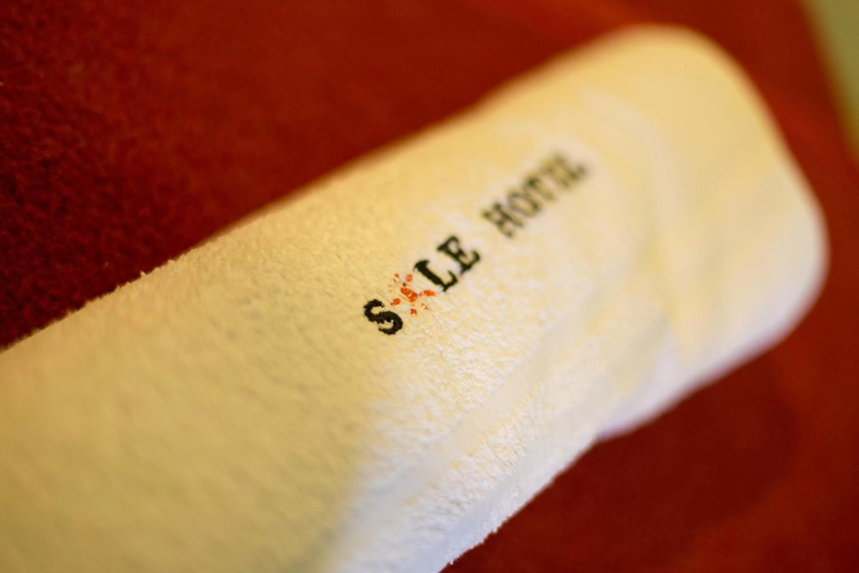 Decorative detail in Sole Hotel