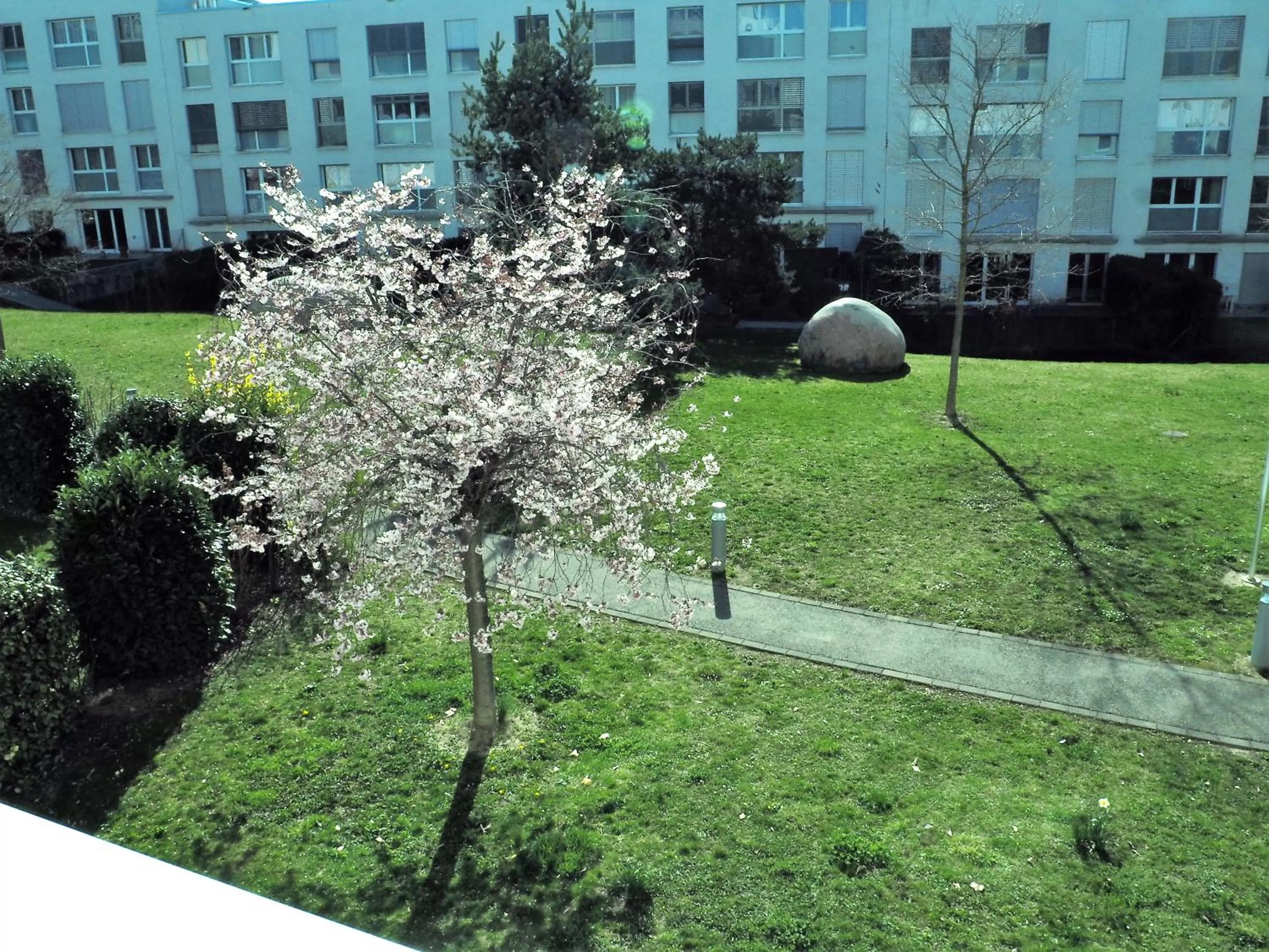 Garden view in ibis Genève Petit Lancy
