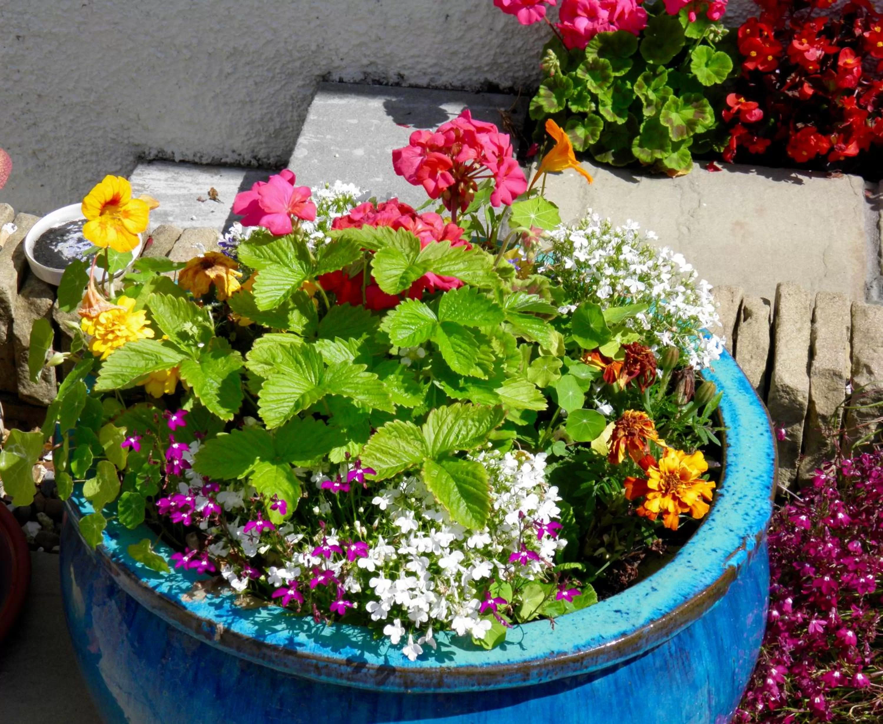 Facade/entrance in No12 Bed and Breakfast, St Andrews