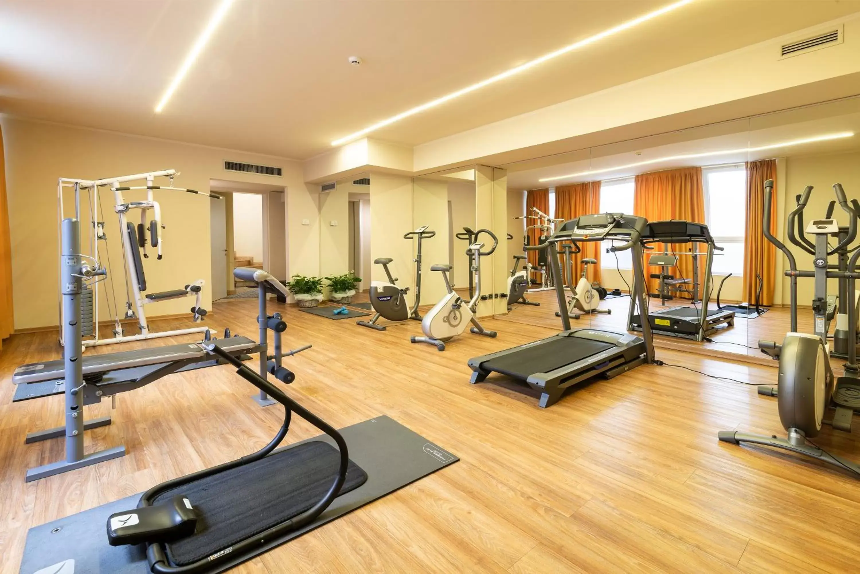 Fitness centre/facilities, Fitness Center/Facilities in Hotel Silver Milano
