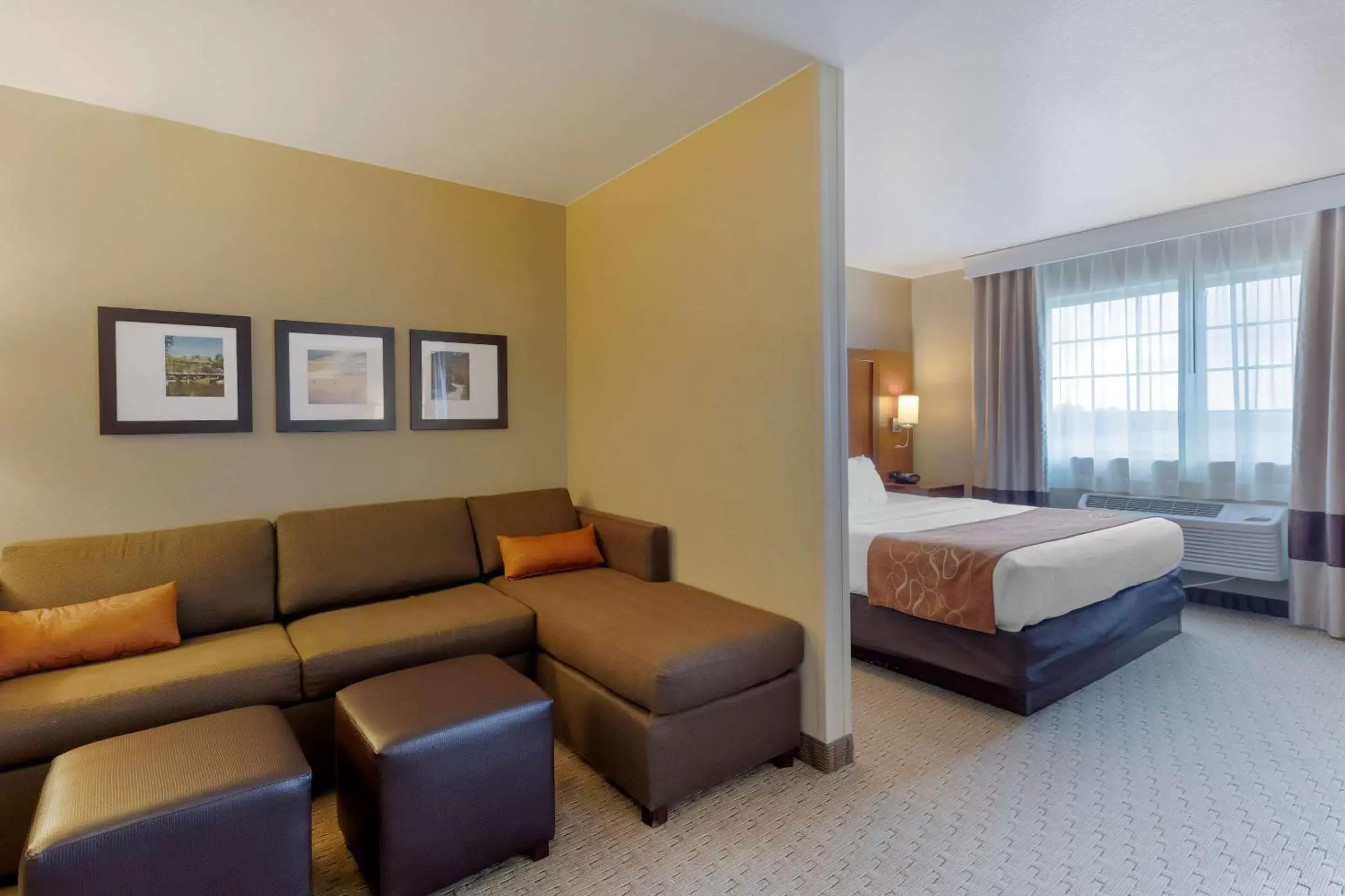 Photo of the whole room in Comfort Suites Burlington