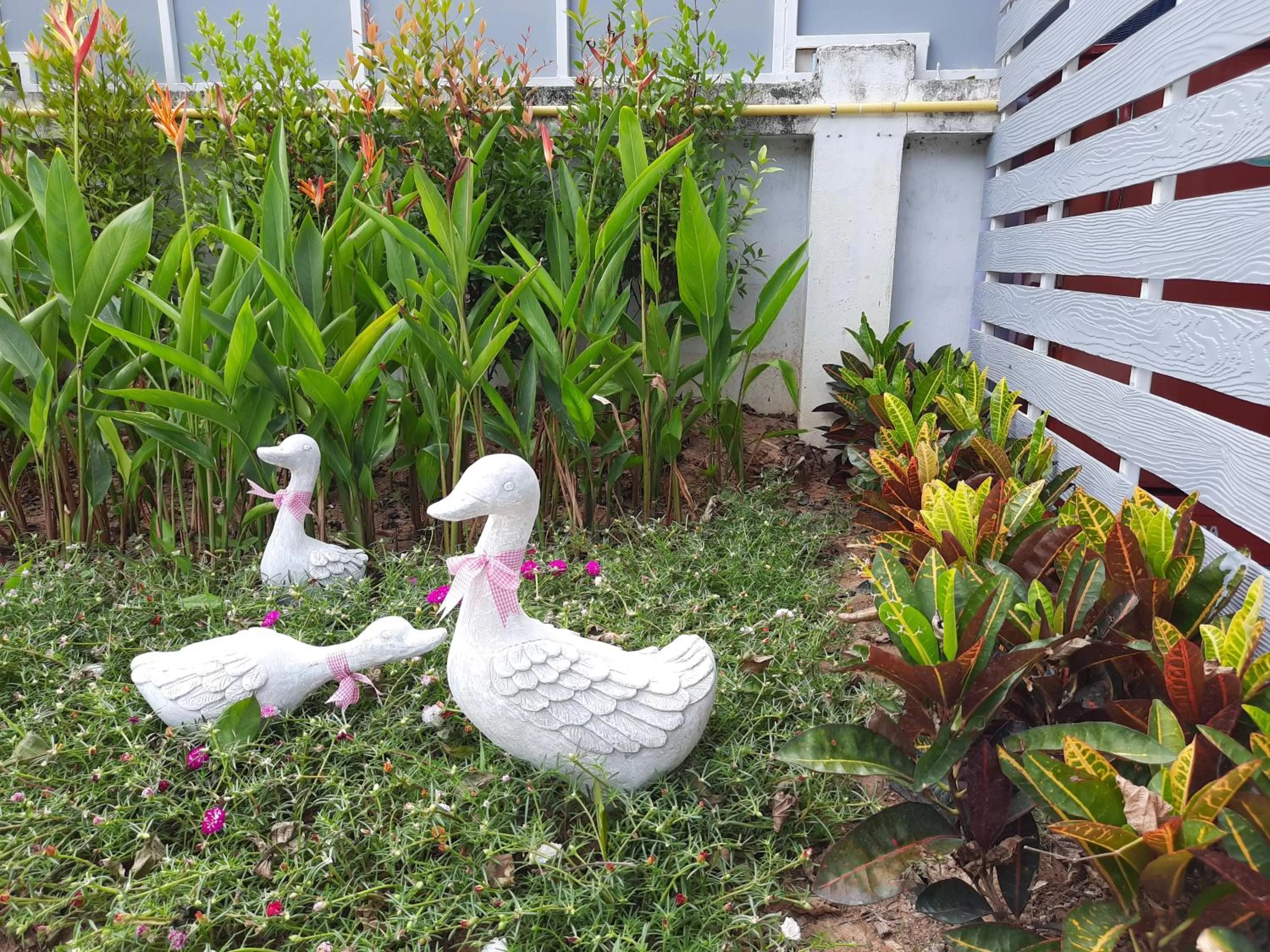 Fancy Carp Resort Hua-Hin