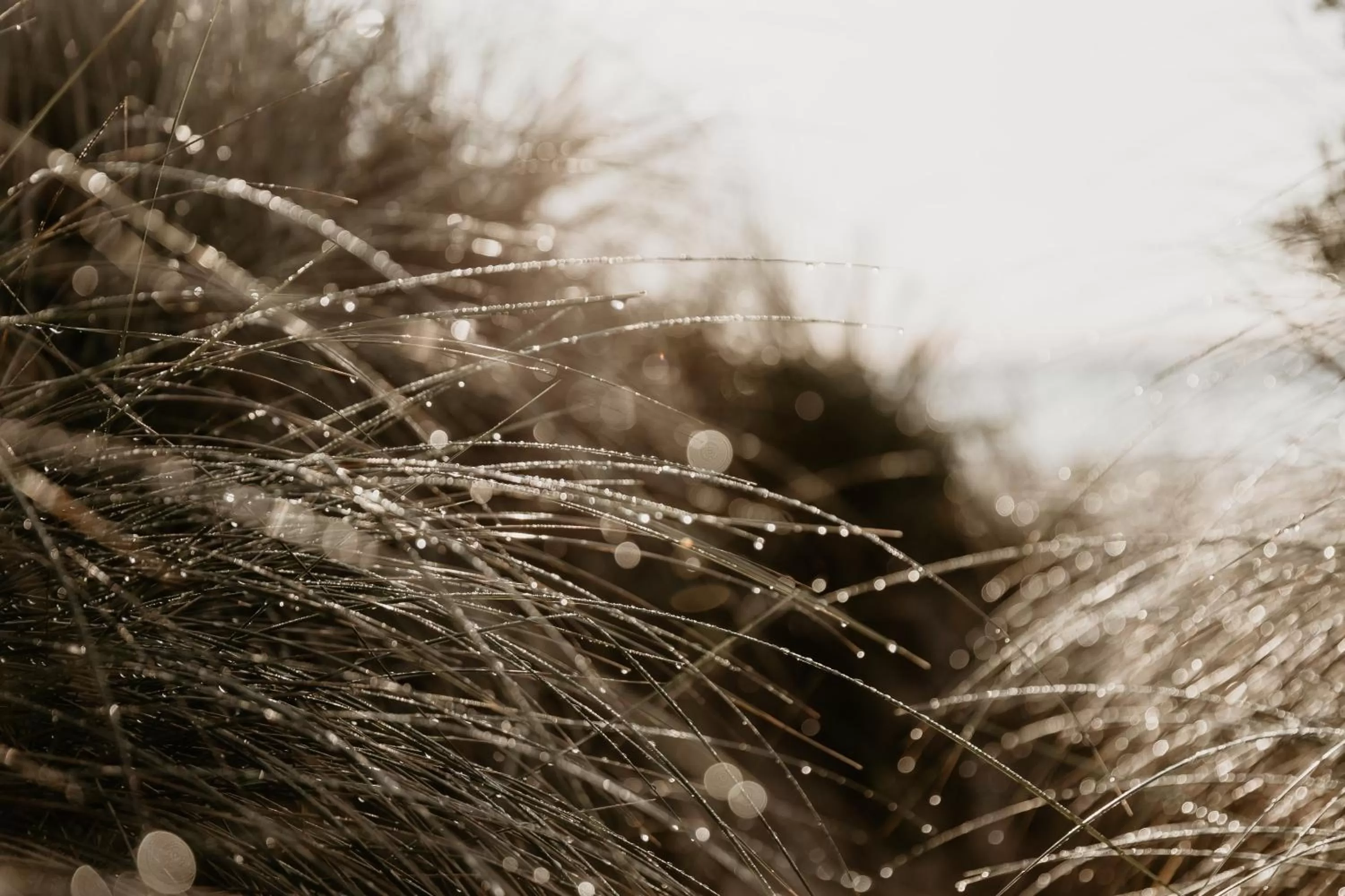 Beach & Bay Stay Motel