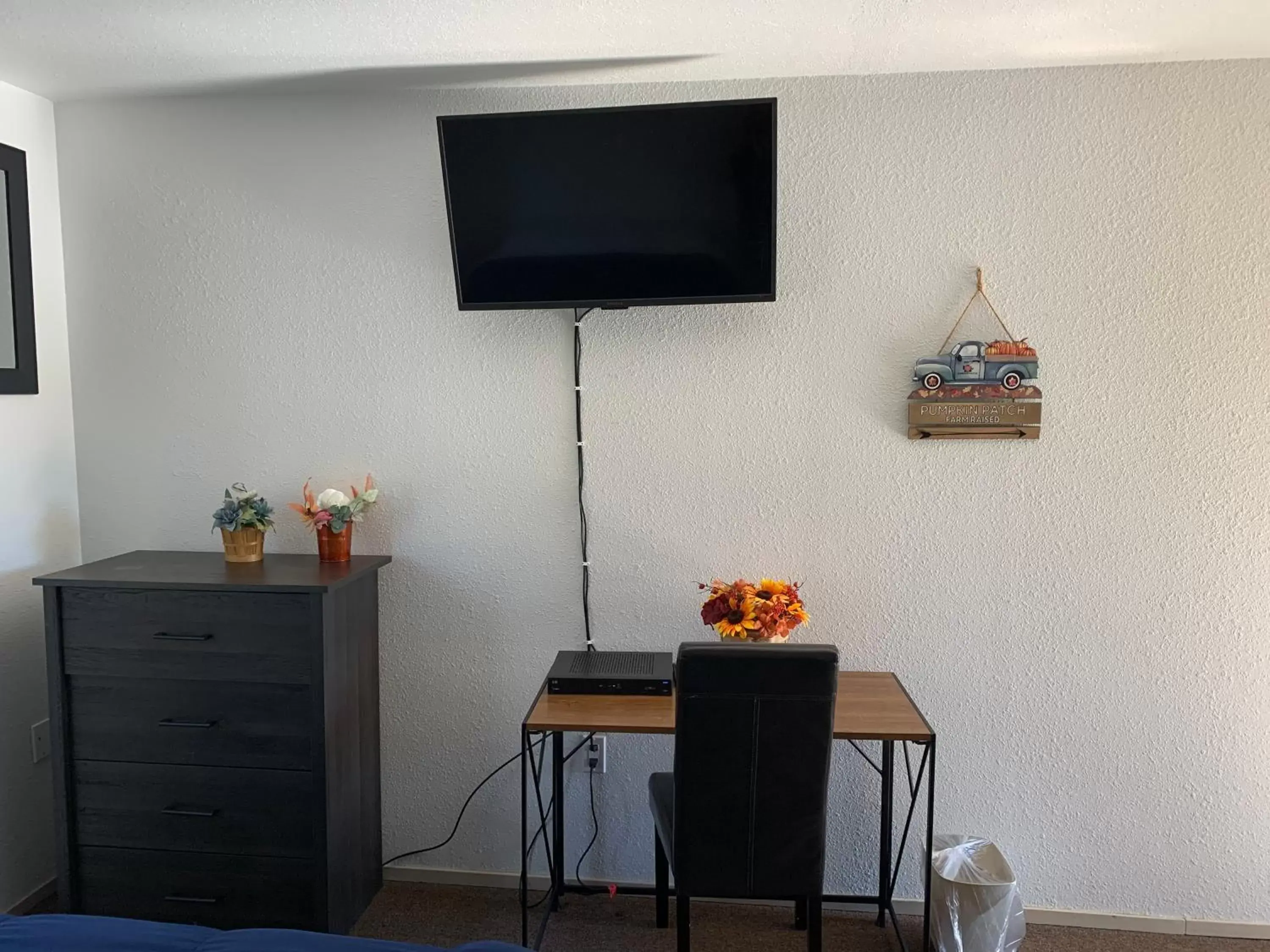 TV/Entertainment Center in Brownsville Motel