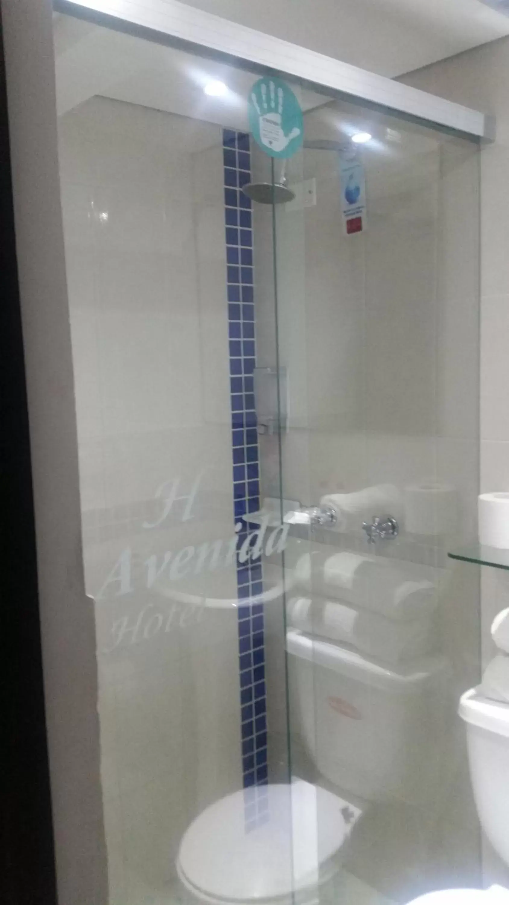 Shower, Bathroom in Hotel Quinta Avenida