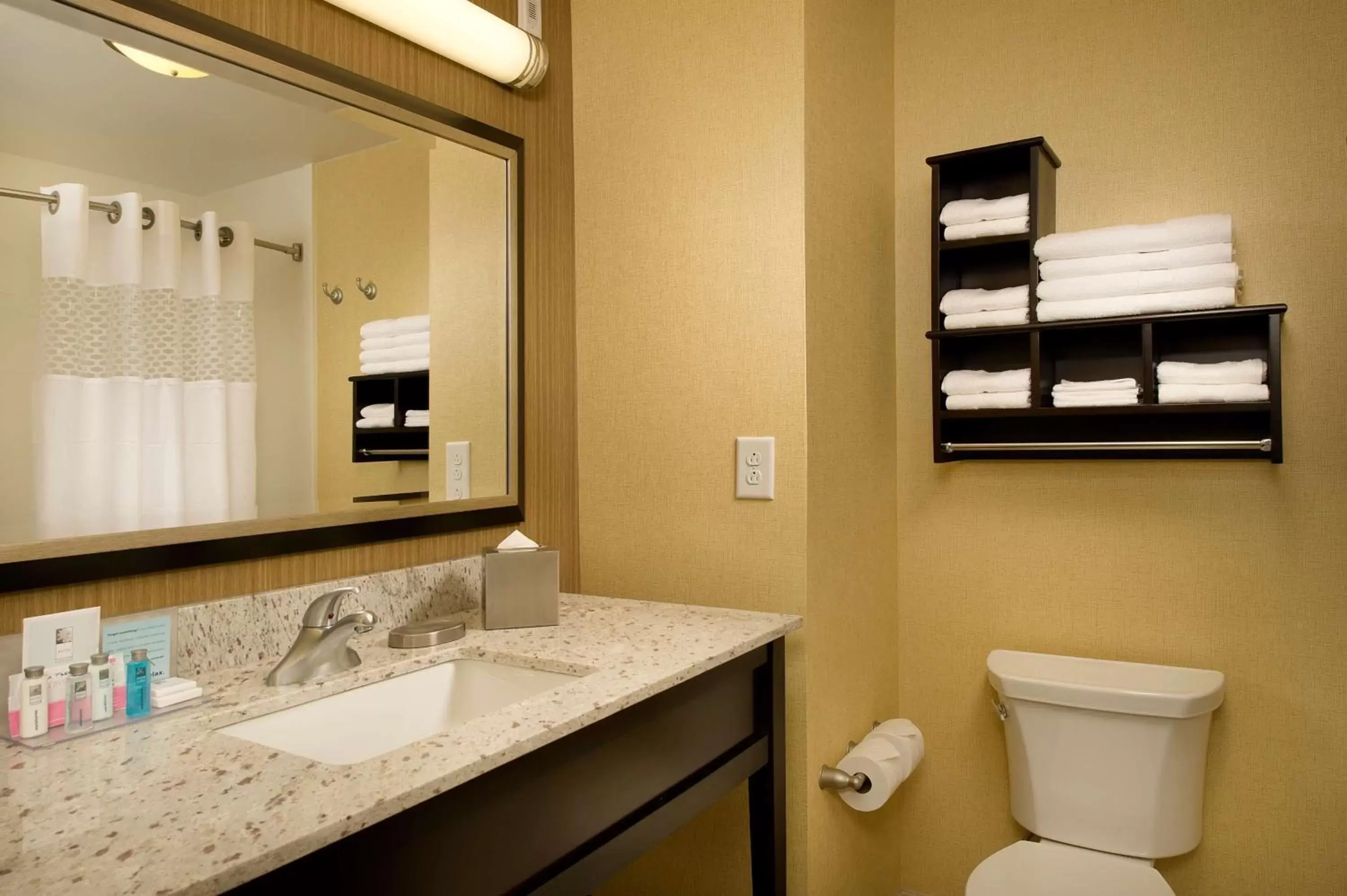 Bathroom in Hampton Inn and Suites Washington DC North/Gaithersburg