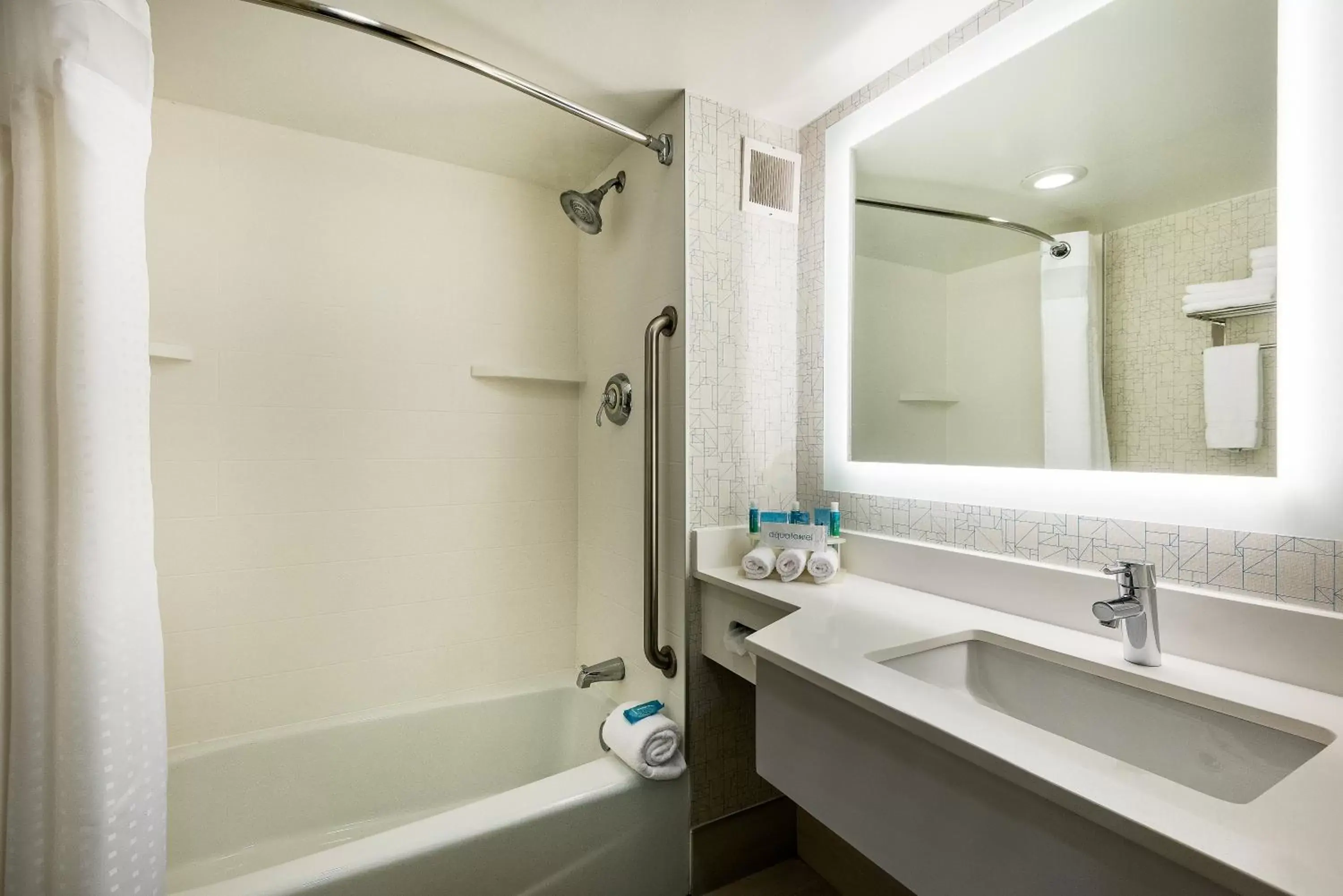 Bathroom in Holiday Inn Express Flint-Campus Area, an IHG Hotel