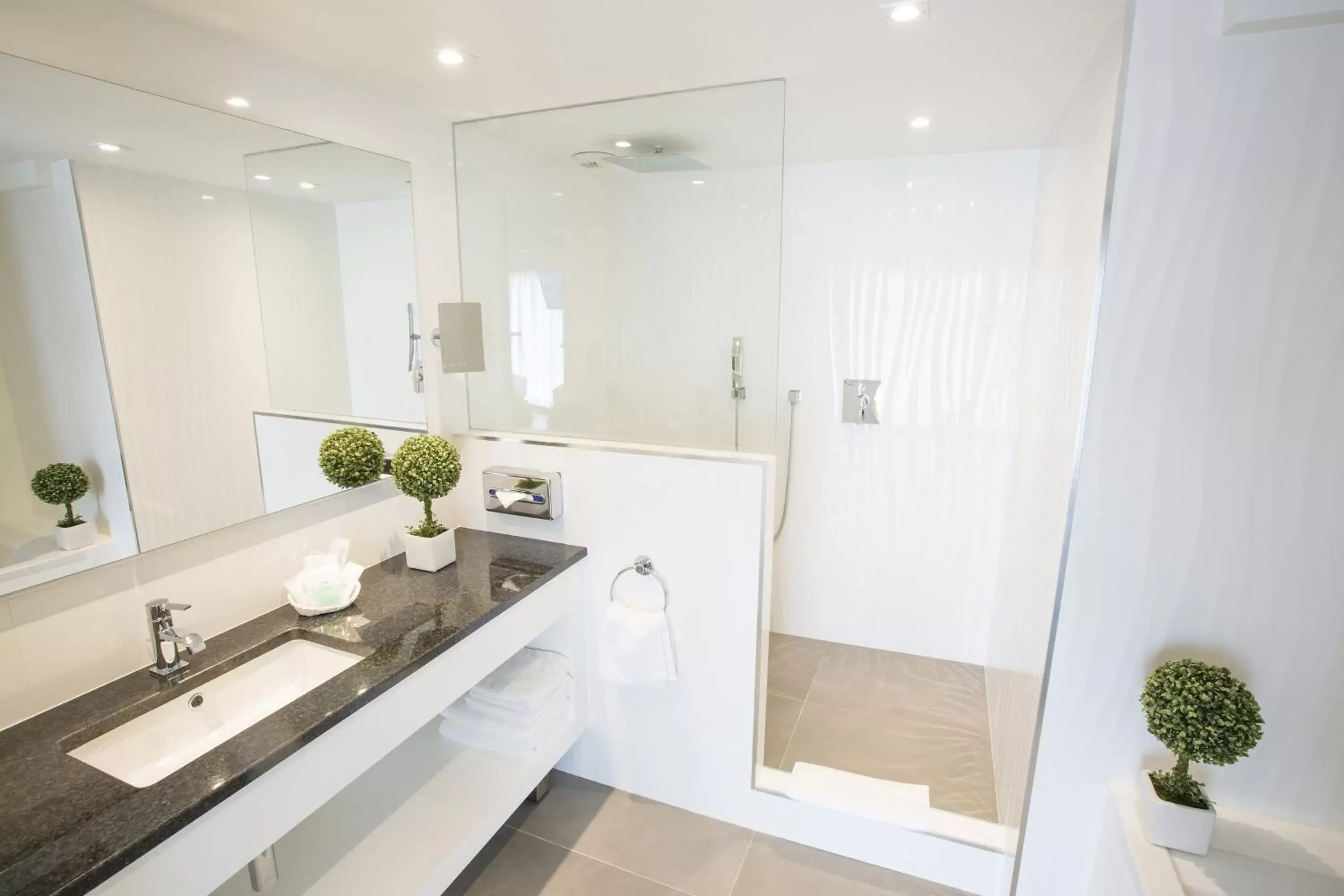 Shower, Bathroom in Best Western Plus Cannes Riviera