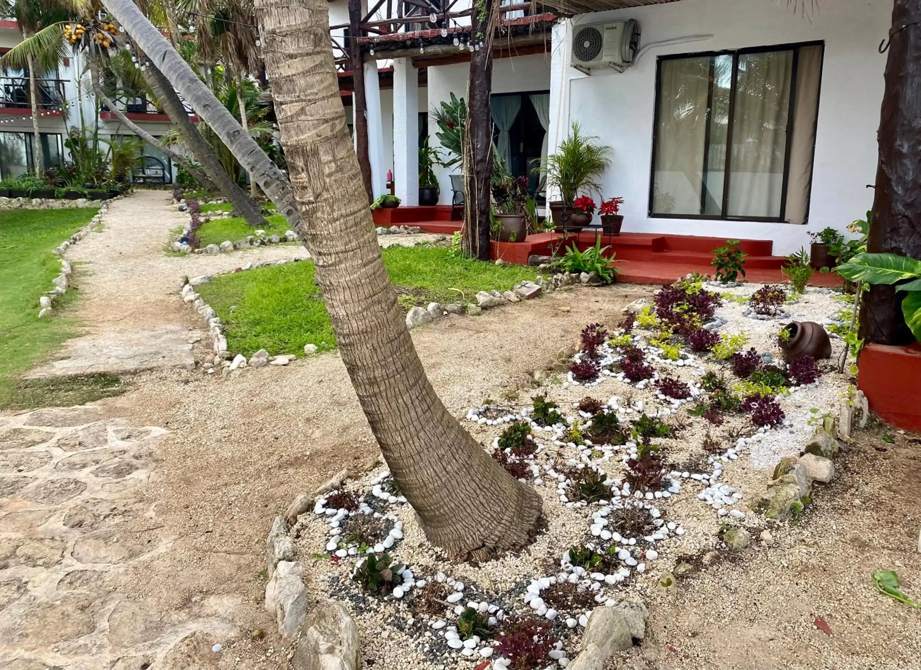 Garden in Casa Caribe Cancun