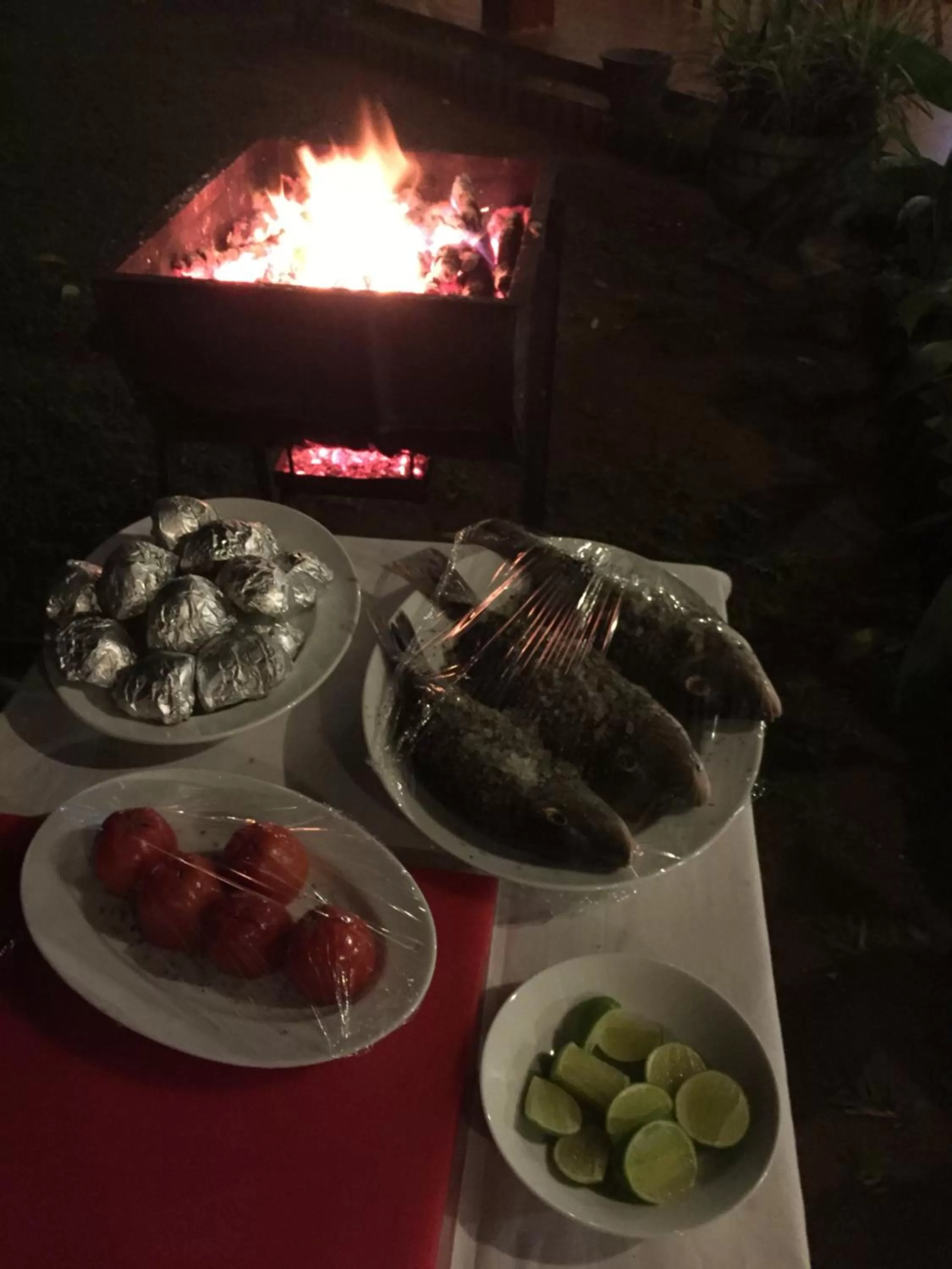 BBQ facilities in Le leopard d 'argent