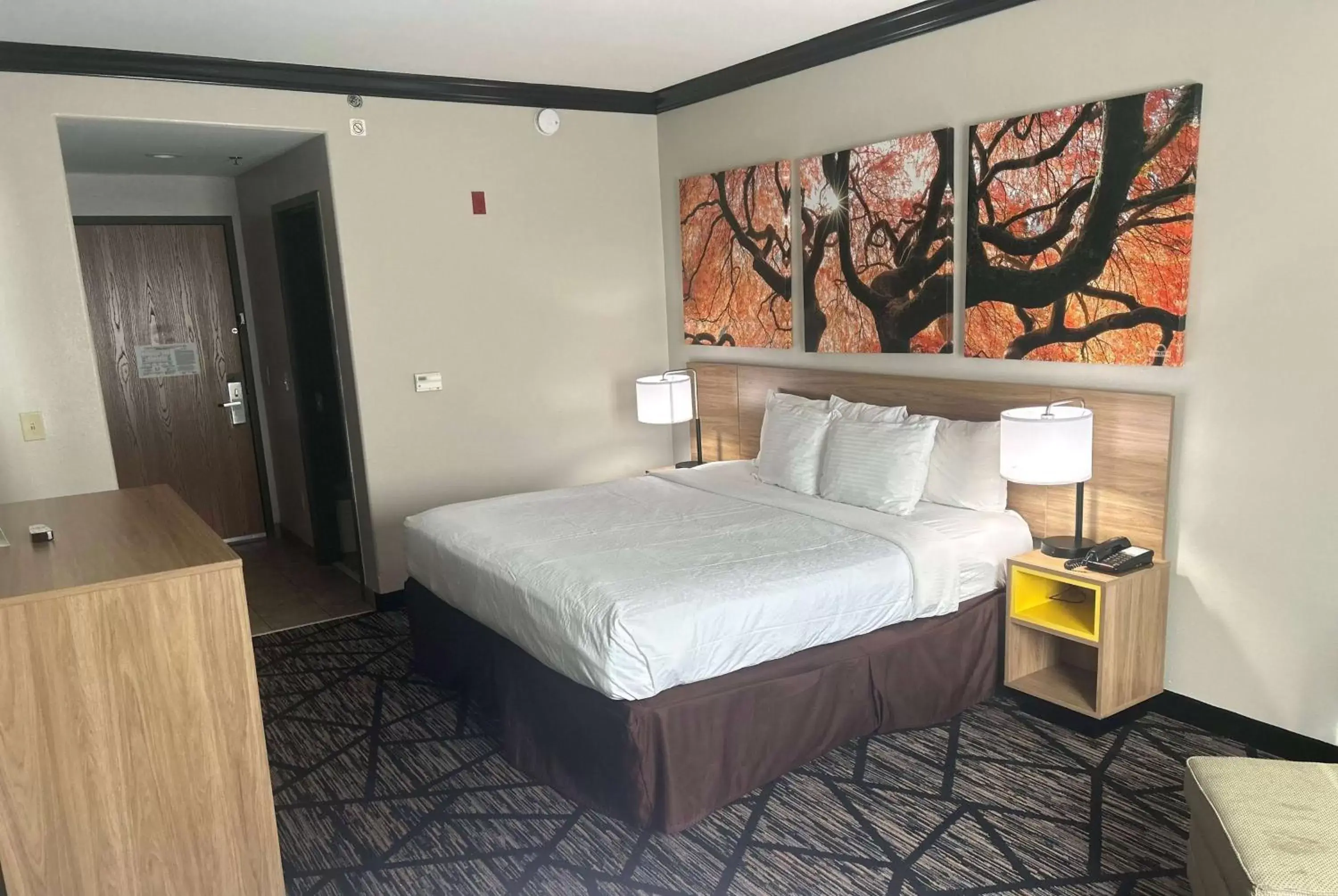 Photo of the whole room, Bed in Days Inn by Wyndham Baton Rouge I-10