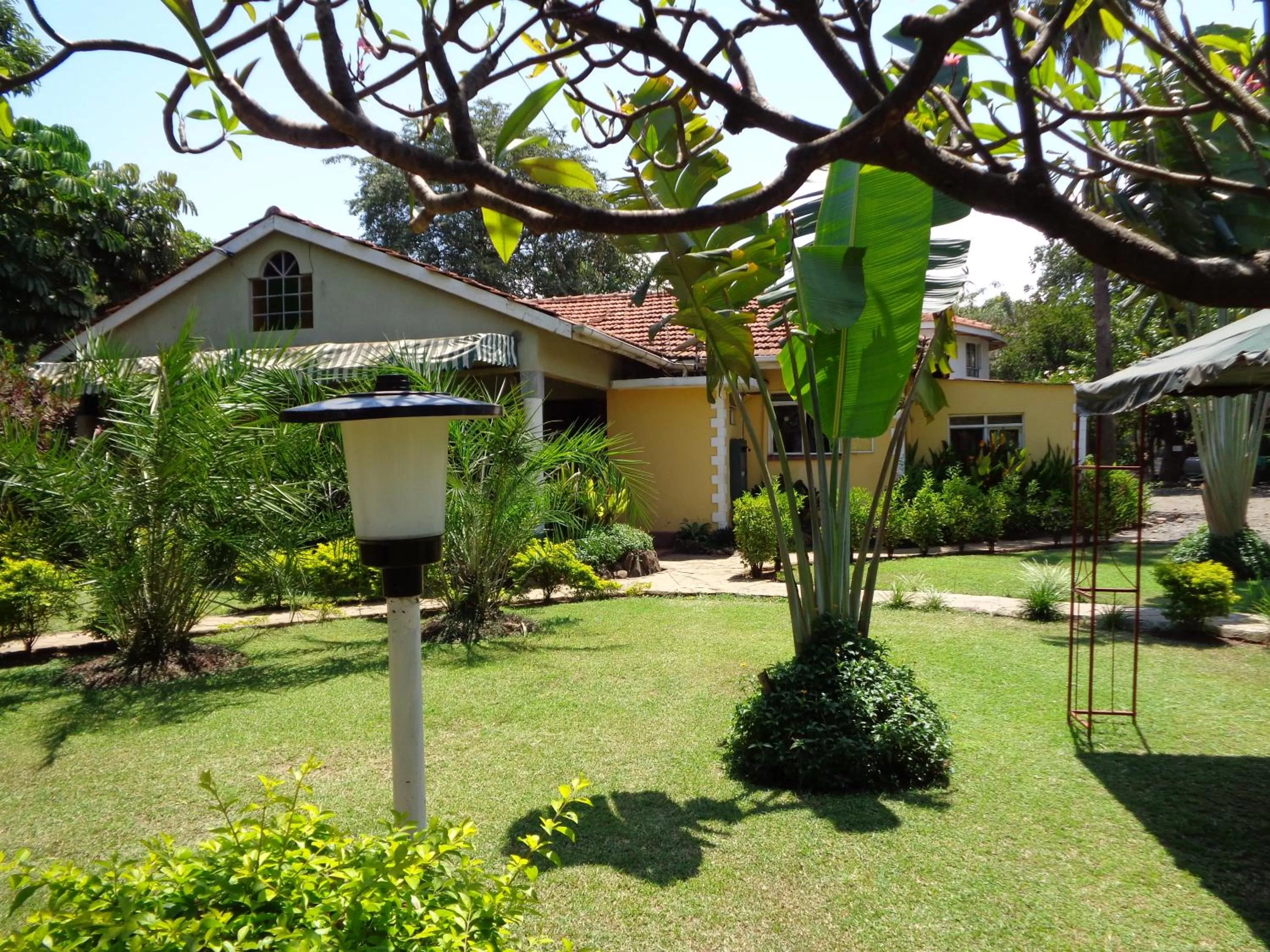 Garden in The Clarice House