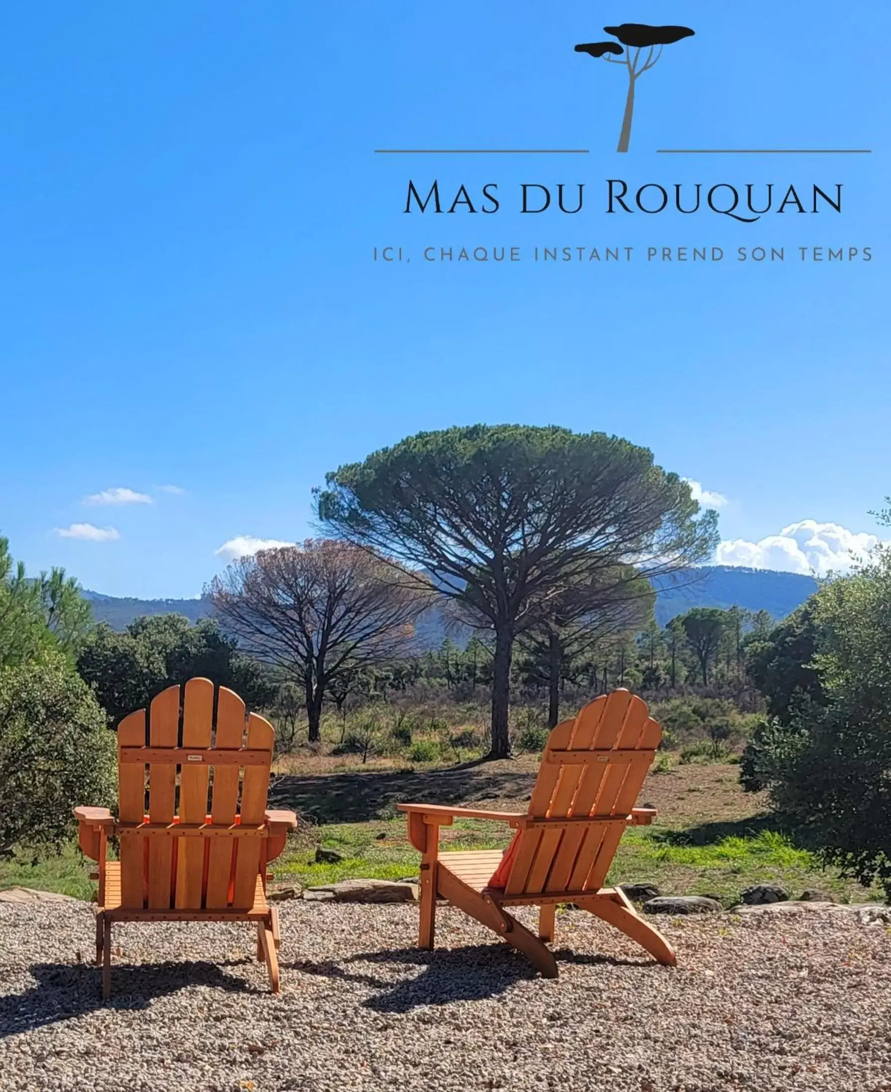 Garden view in Le Mas du Rouquan