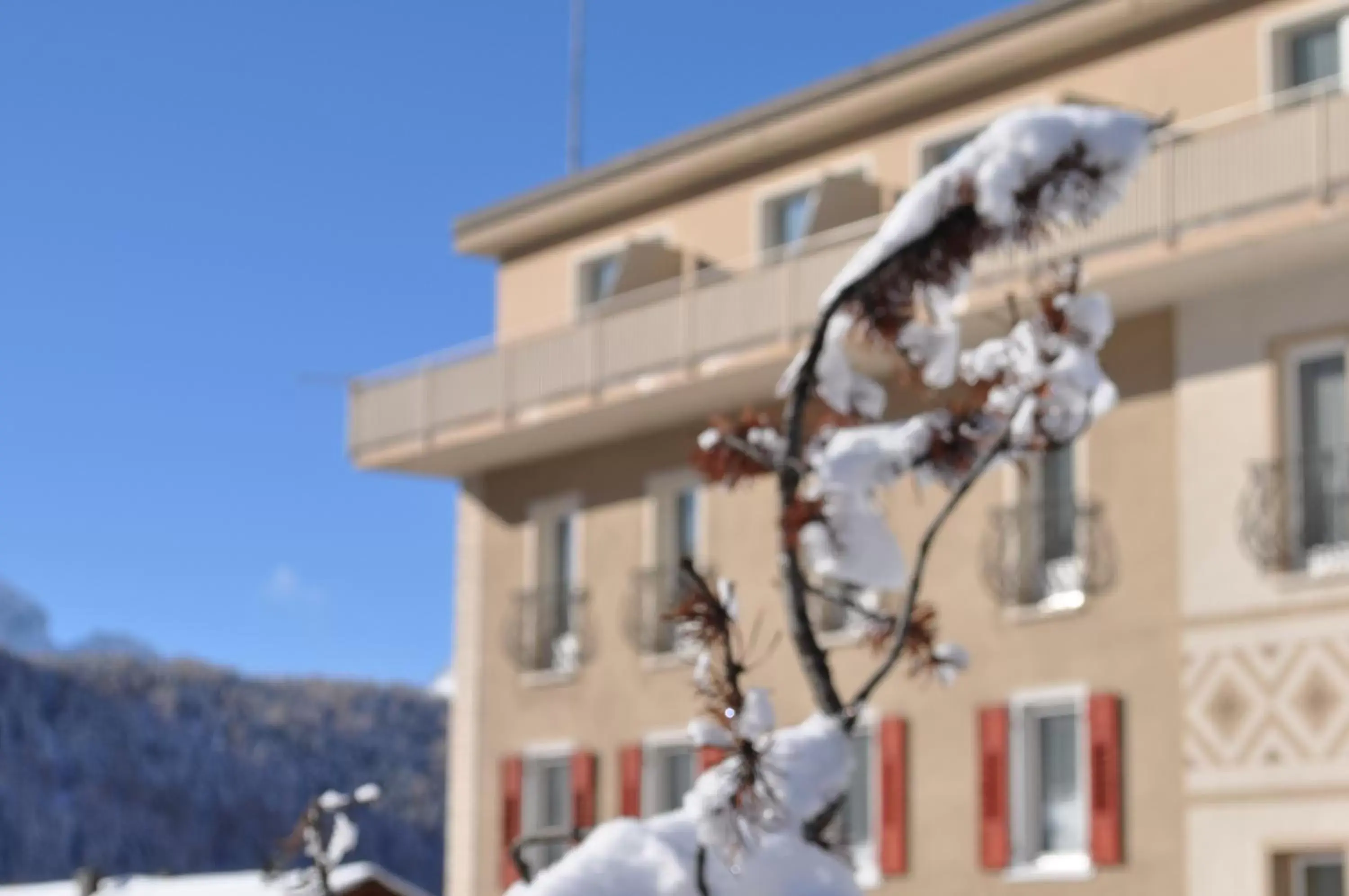 Property building, Winter in Hotel Bernina