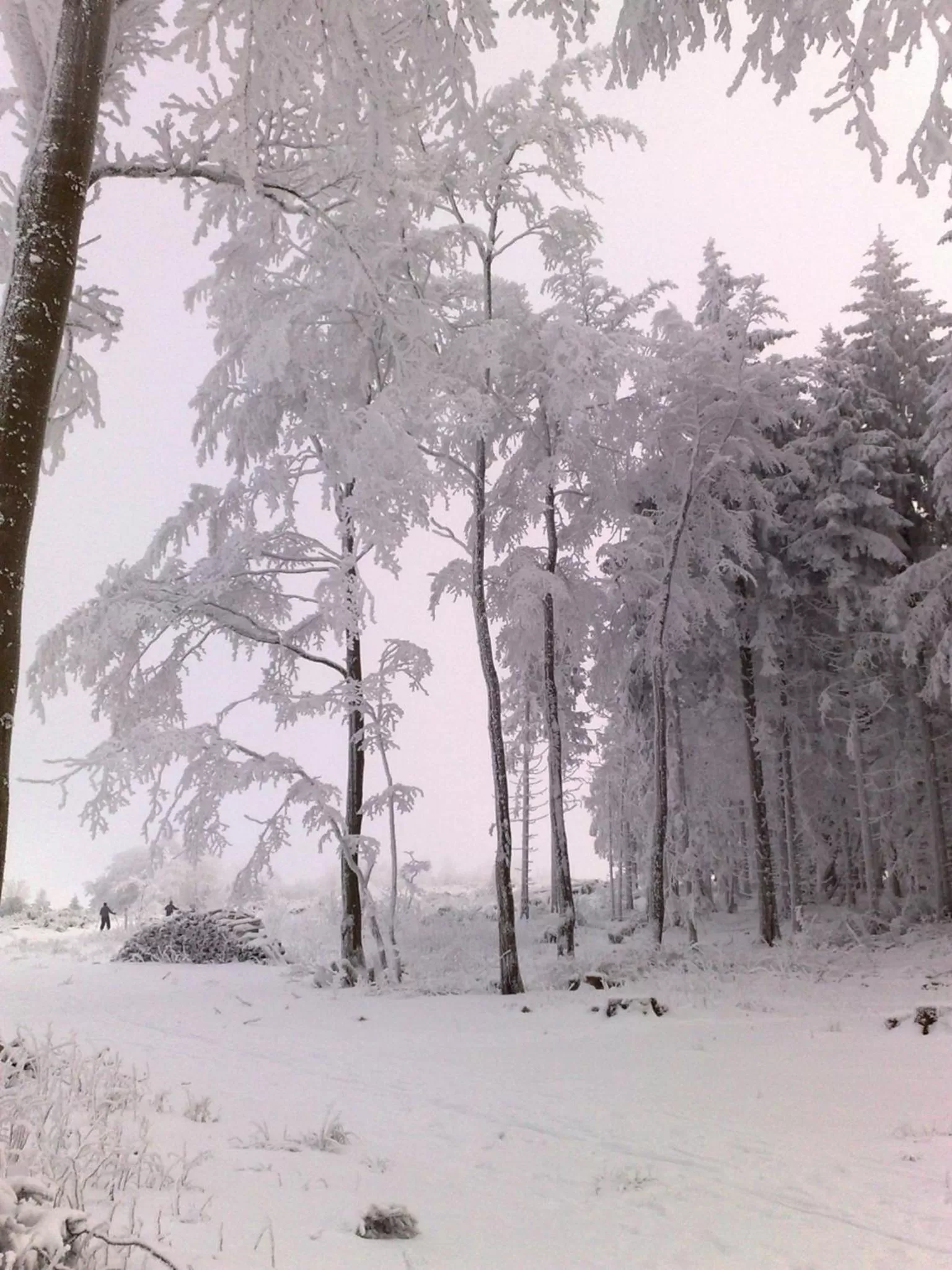 Winter in Heidehotel Hildfeld