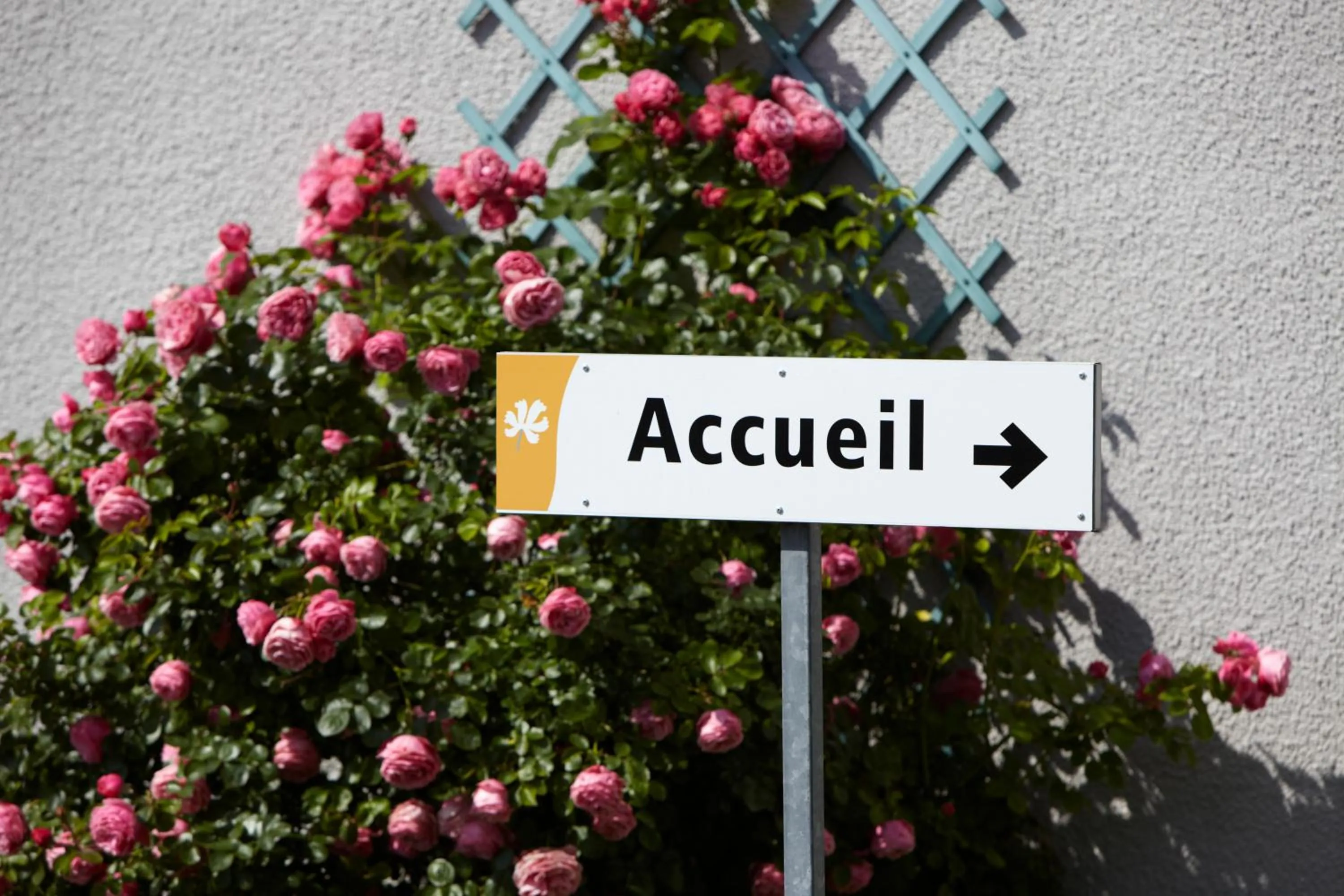 Logo/Certificate/Sign in Premiere Classe Chelles