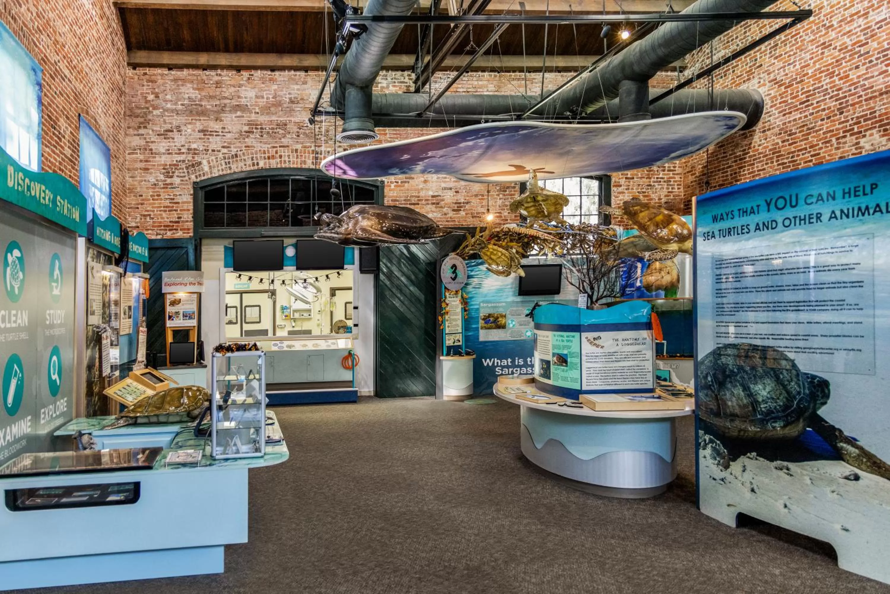 Entertainment in Holiday Inn Resort Jekyll Island by IHG