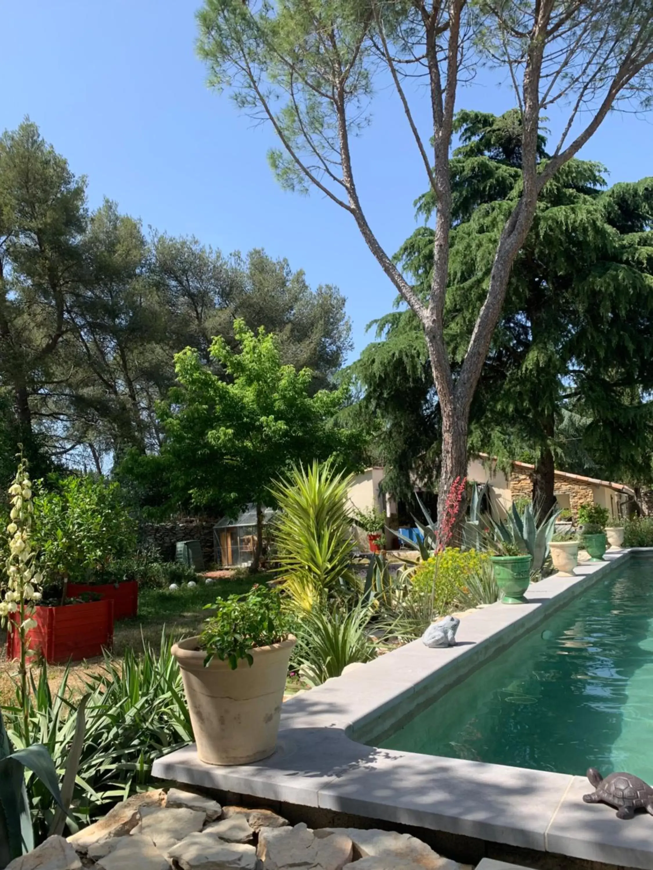 Swimming Pool in Chambres d'Hôtes Lovely Planette