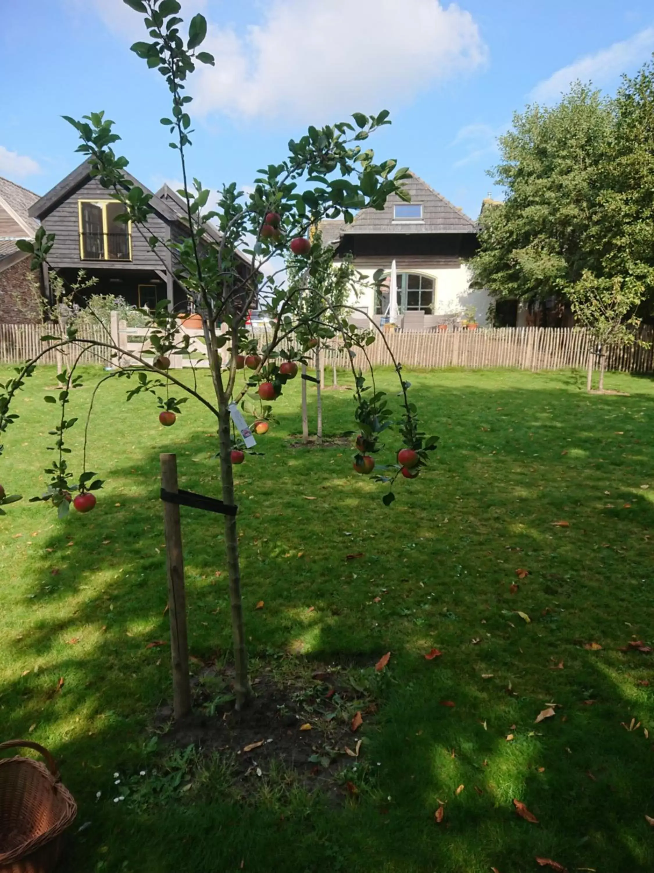 Garden view, Property Building in B&B de Linge