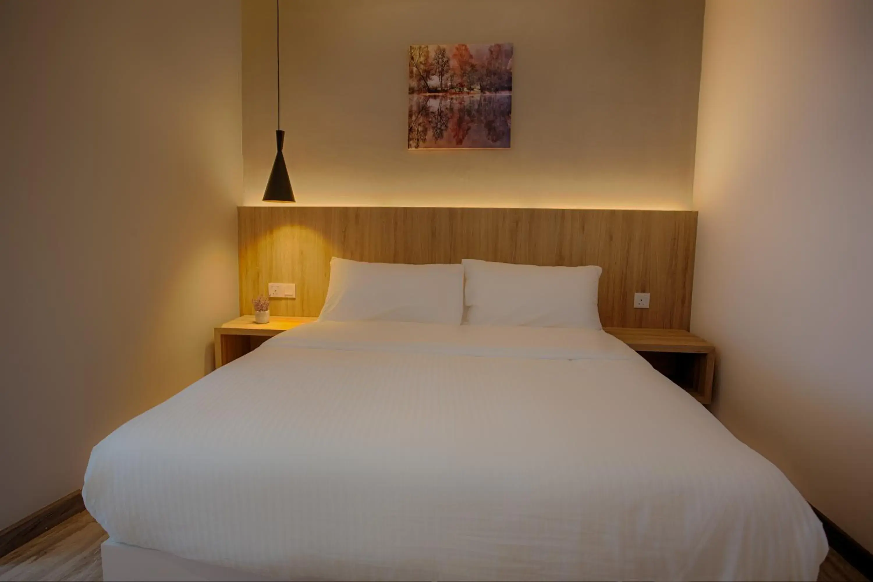 Deluxe Queen Room in The Marion Hotel Deluxe Queen Room in The Marion Hotel