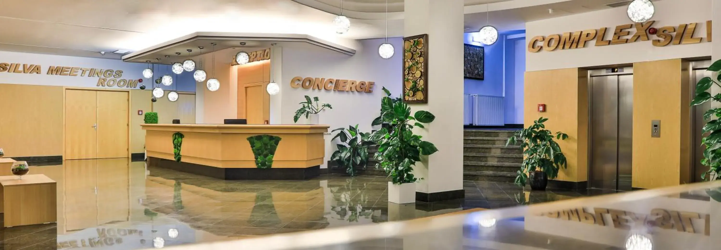 Lobby/Reception in Complex Silva