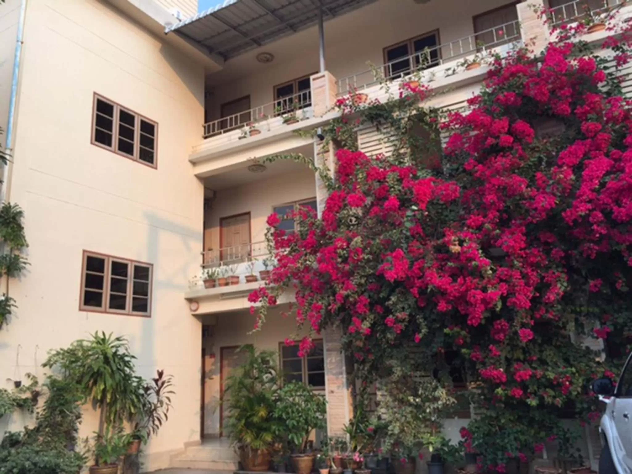 Property building in Pikul Apartment Hotel