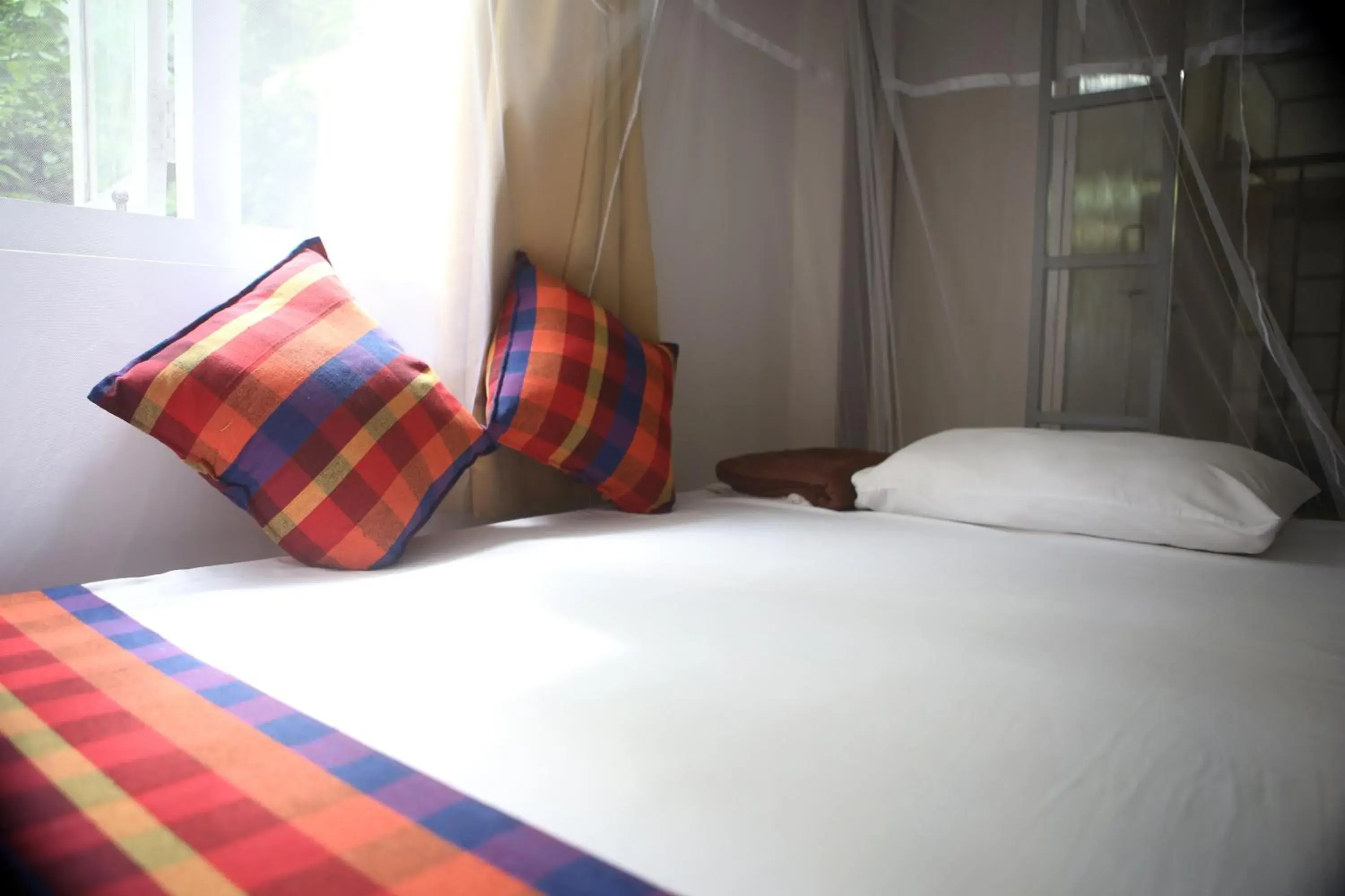 bunk bed, Bed in Talalla Retreat bunk bed, Bed in Talalla Retreat