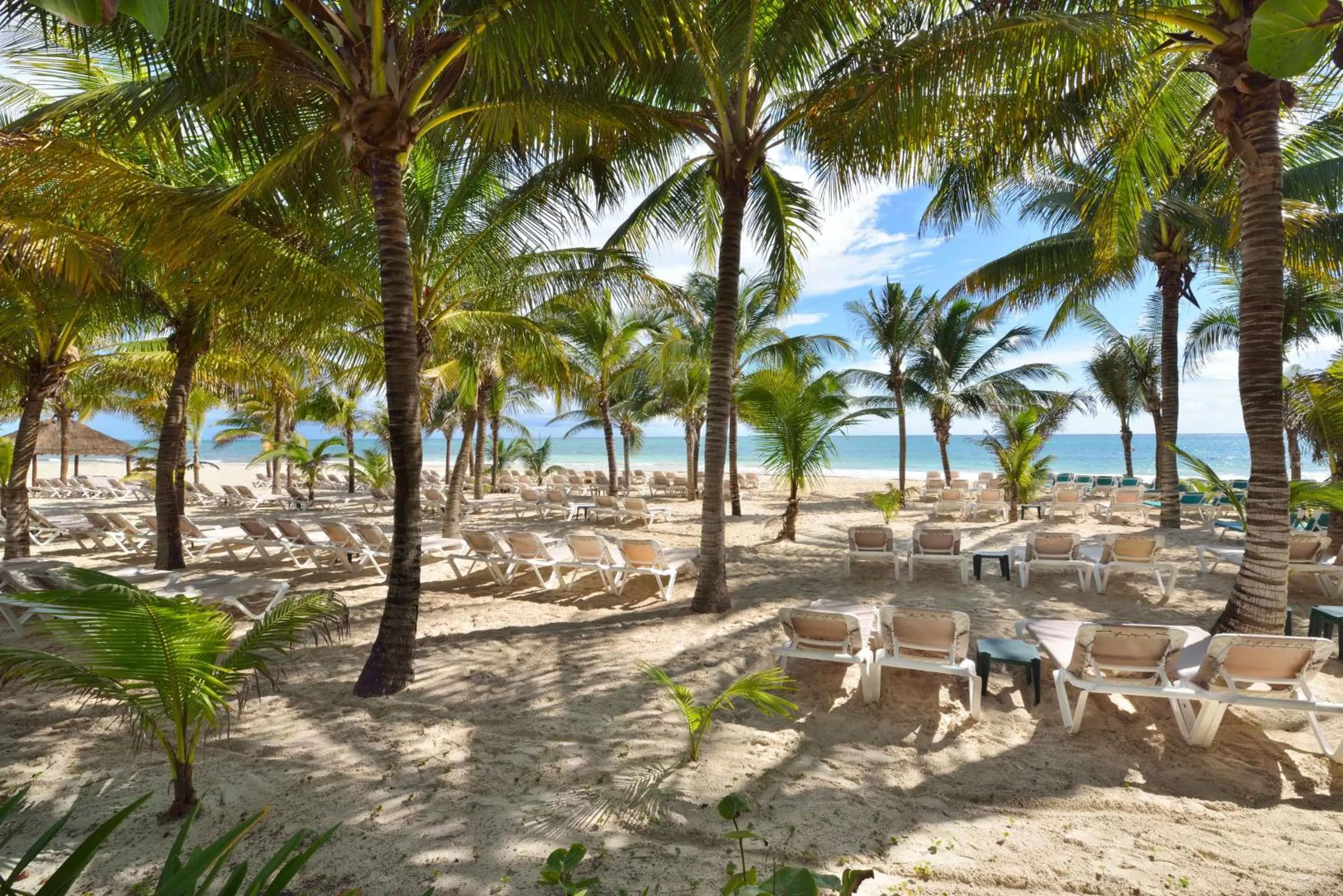 Beach in Catalonia Playa Maroma - All Inclusive