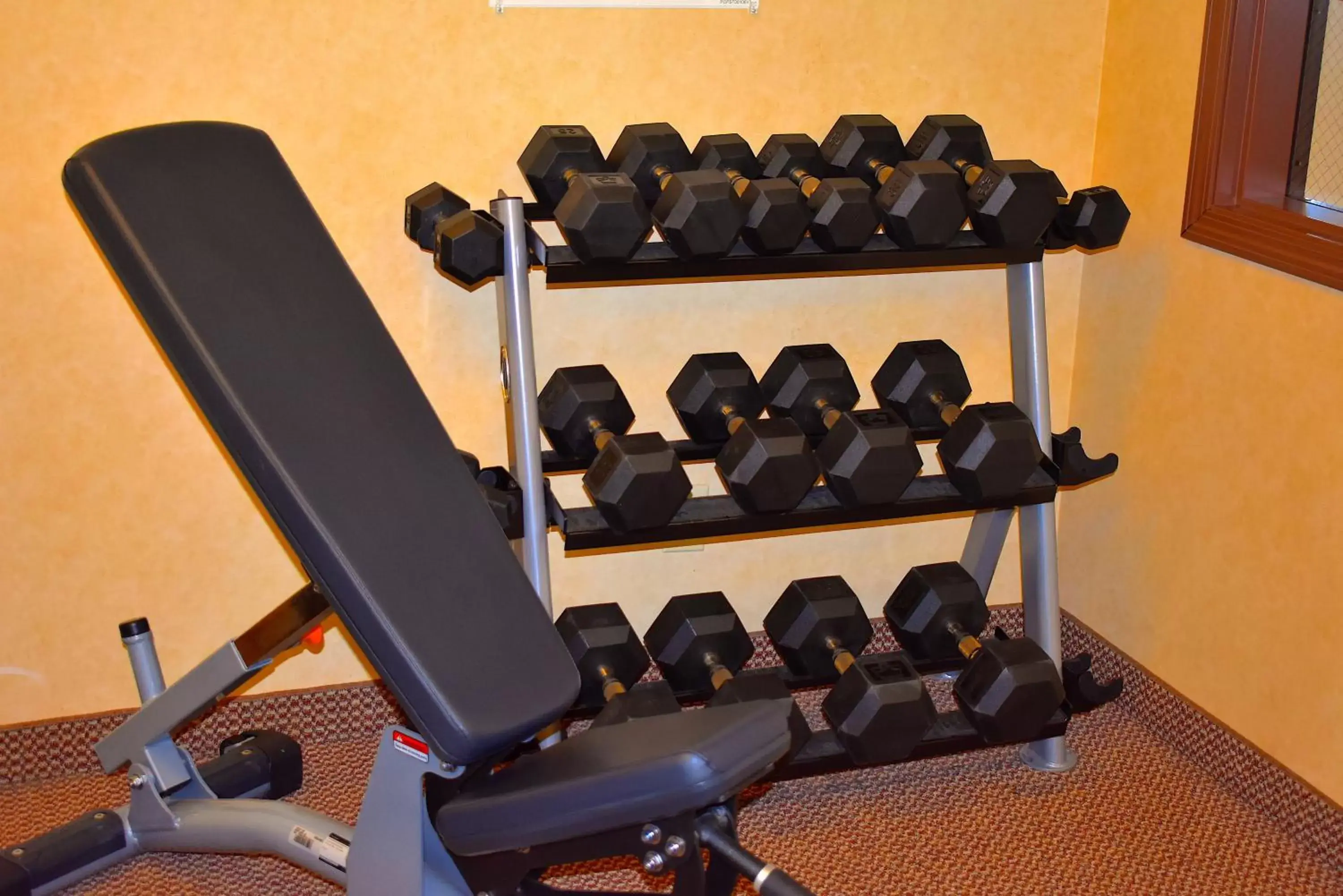 Fitness centre/facilities, Fitness Center/Facilities in Holiday Inn Express Syracuse-Fairgrounds, an IHG Hotel