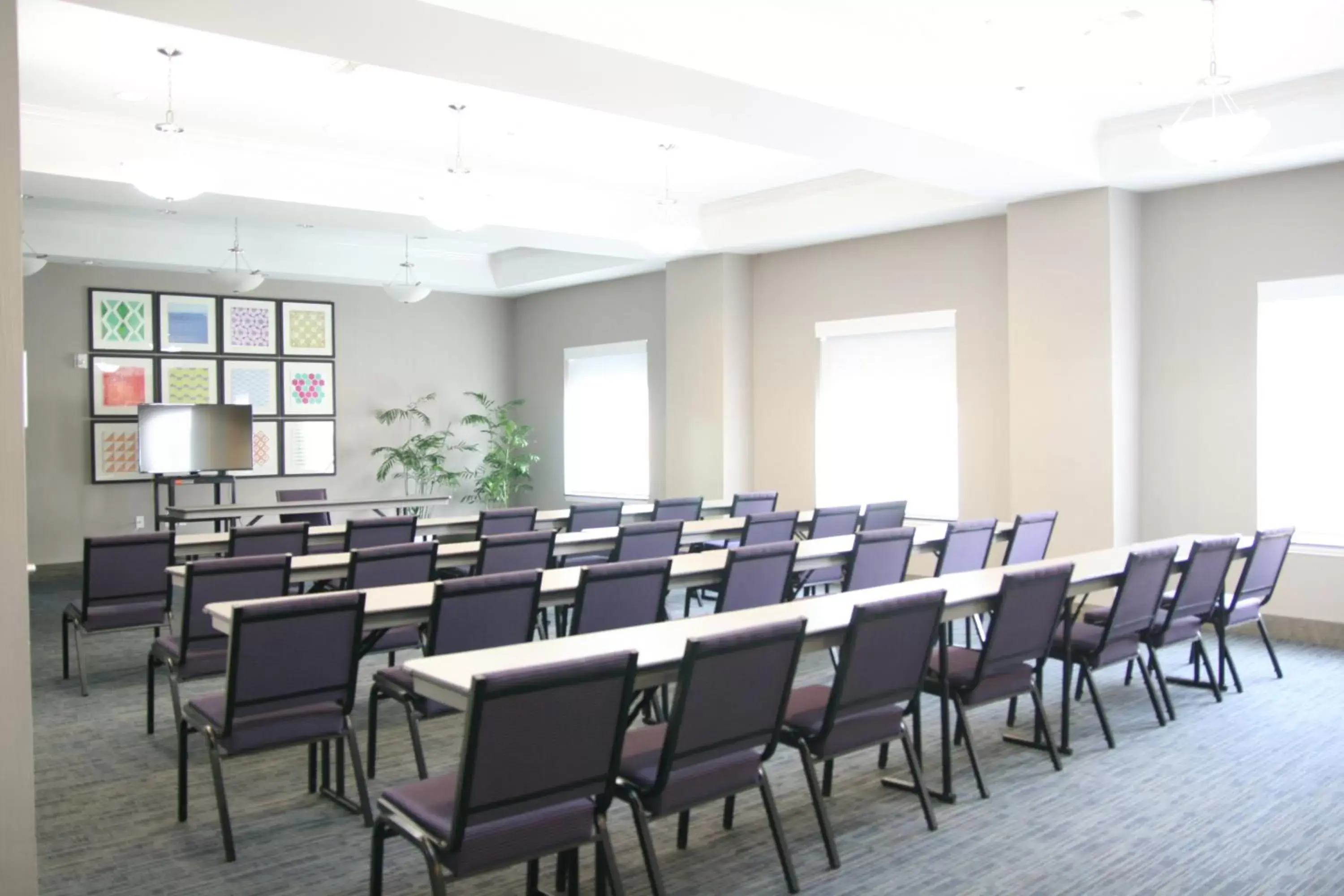Meeting/conference room in Holiday Inn Express Hotel & Suites Clute-Lake Jackson, an IHG Hotel