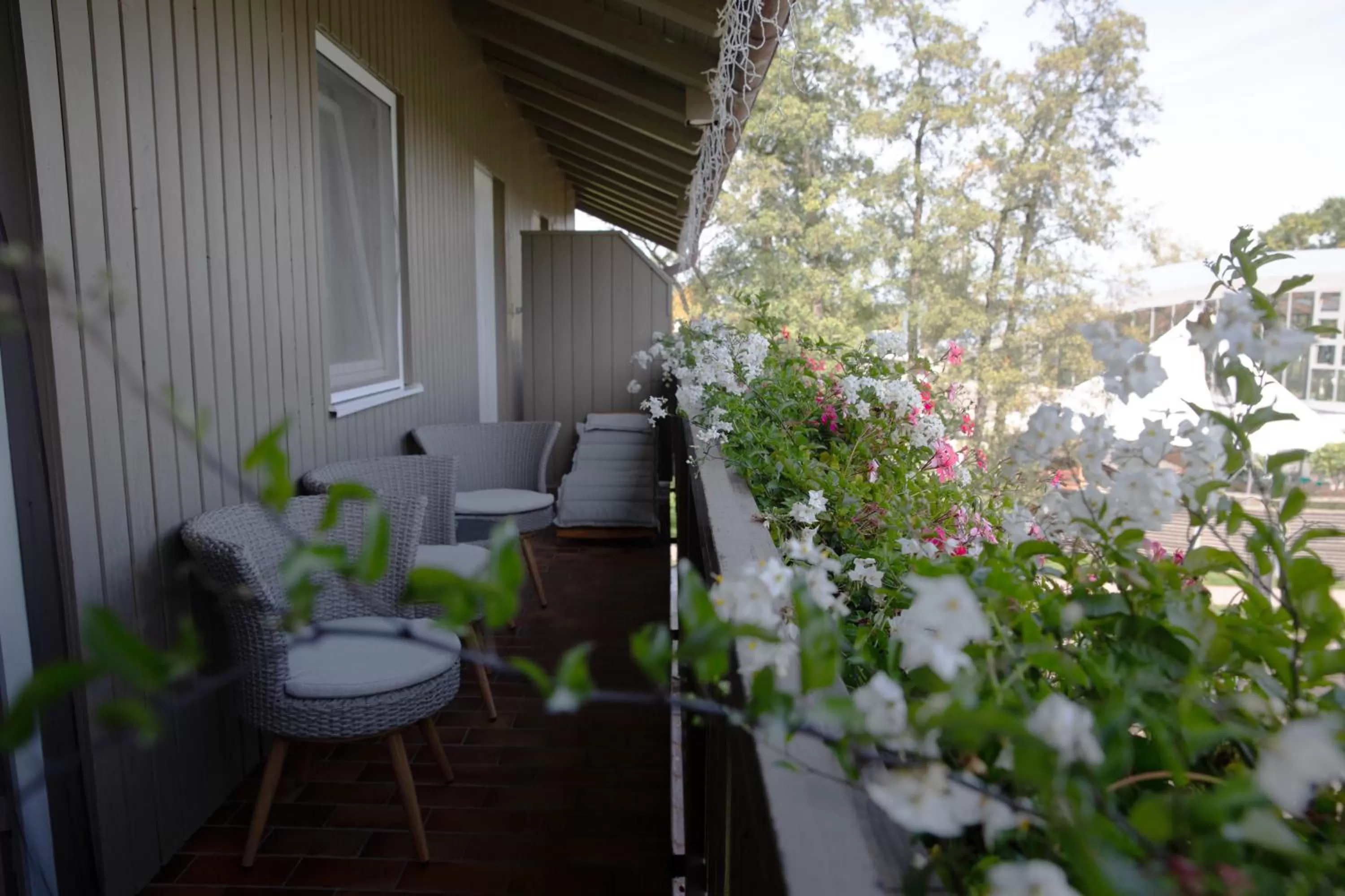 Balcony/Terrace in Hotel Schlossblick Chiemsee