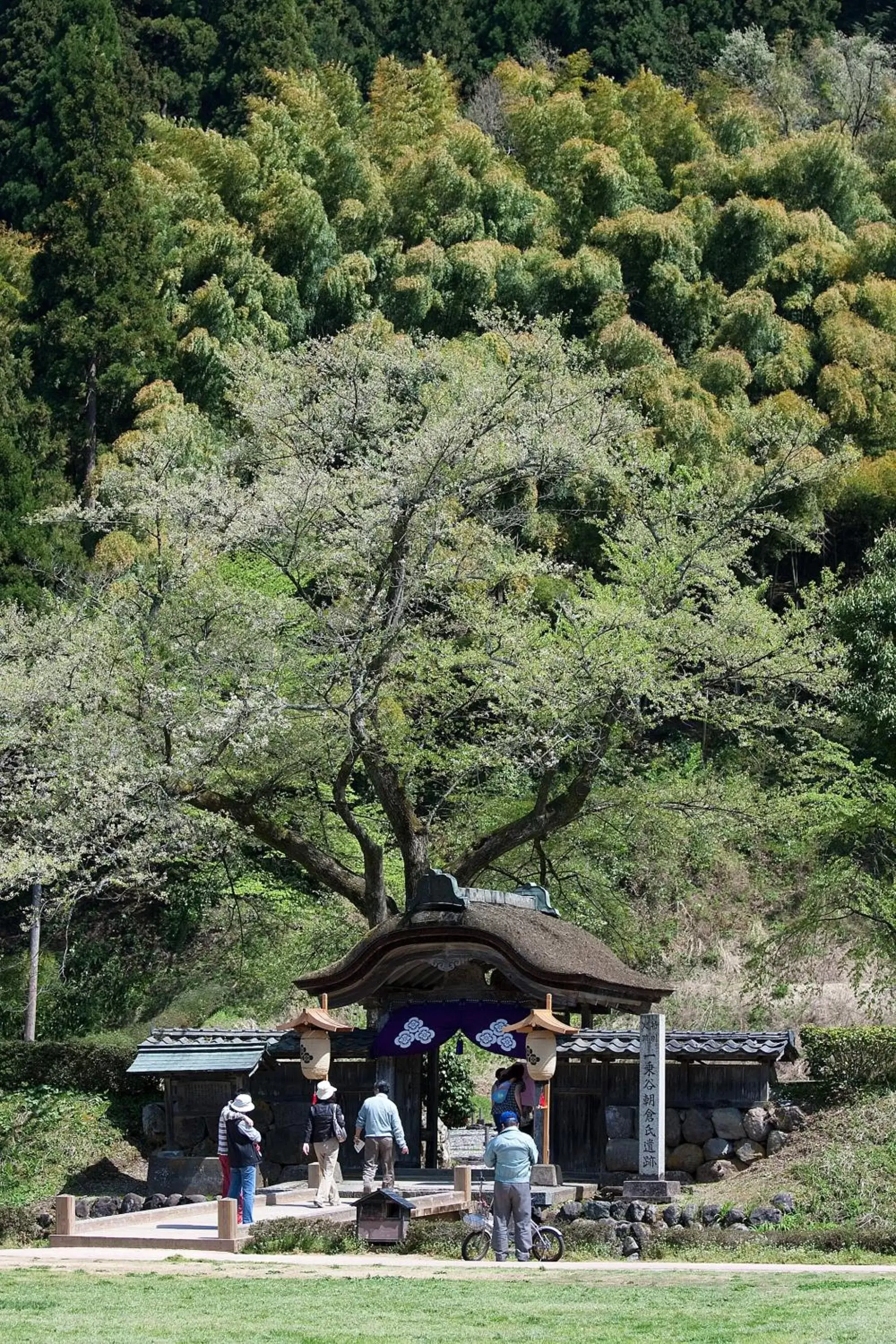 Location in Dormy Inn Premium Fukui Natural Hot Spring