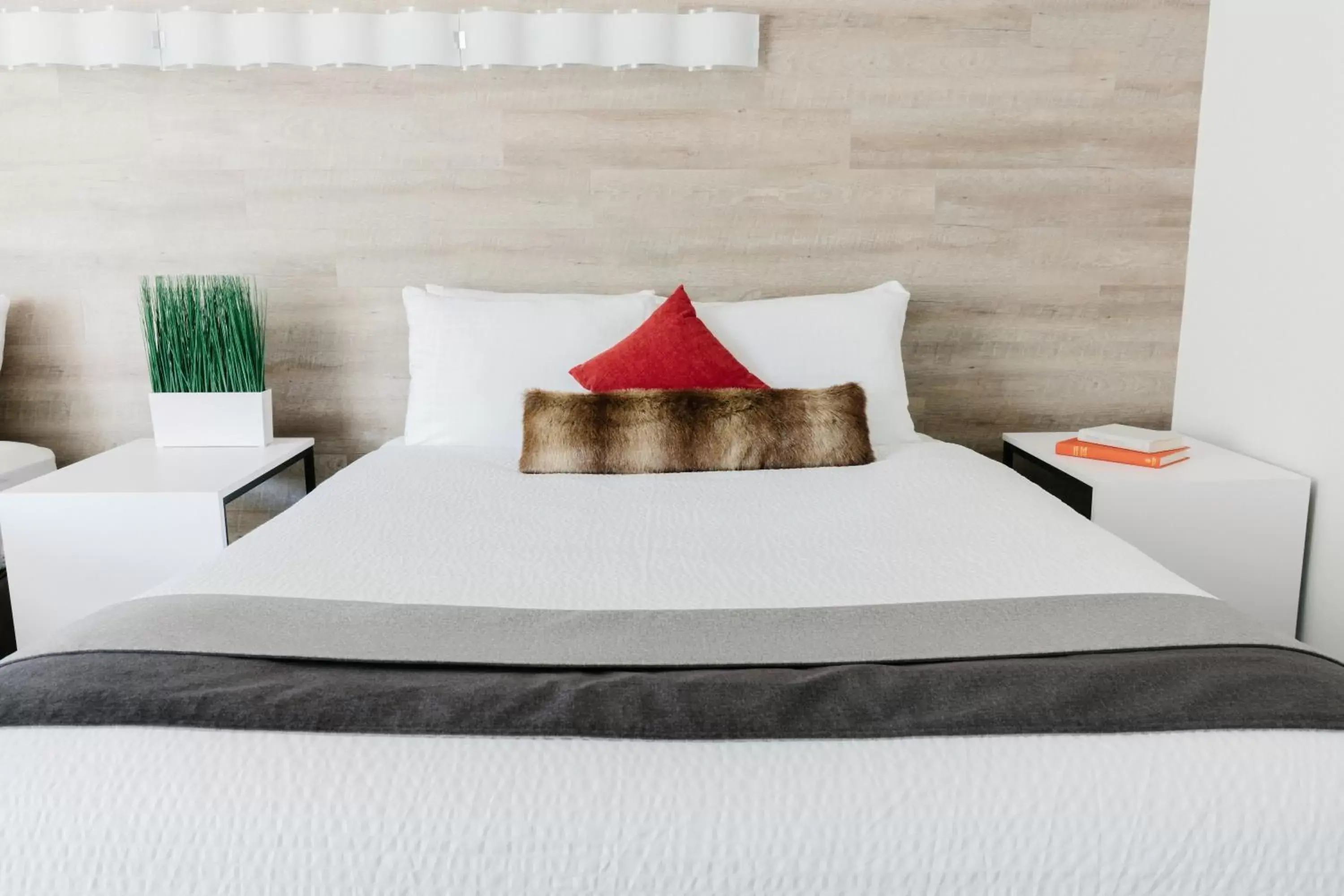 Bed in Elk + Avenue Hotel