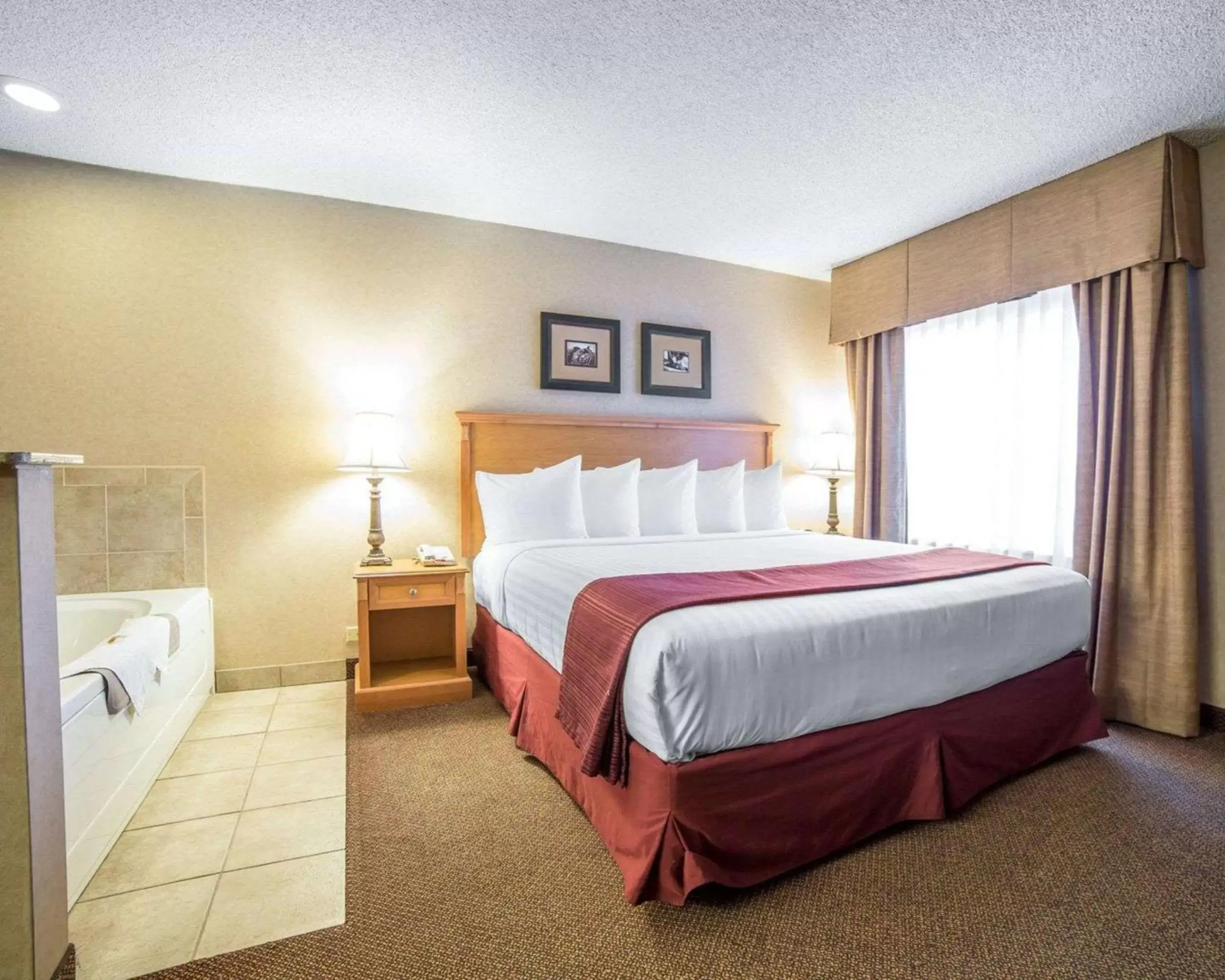 Photo of the whole room, Bed in Quality Inn & Suites Casper near Event Center