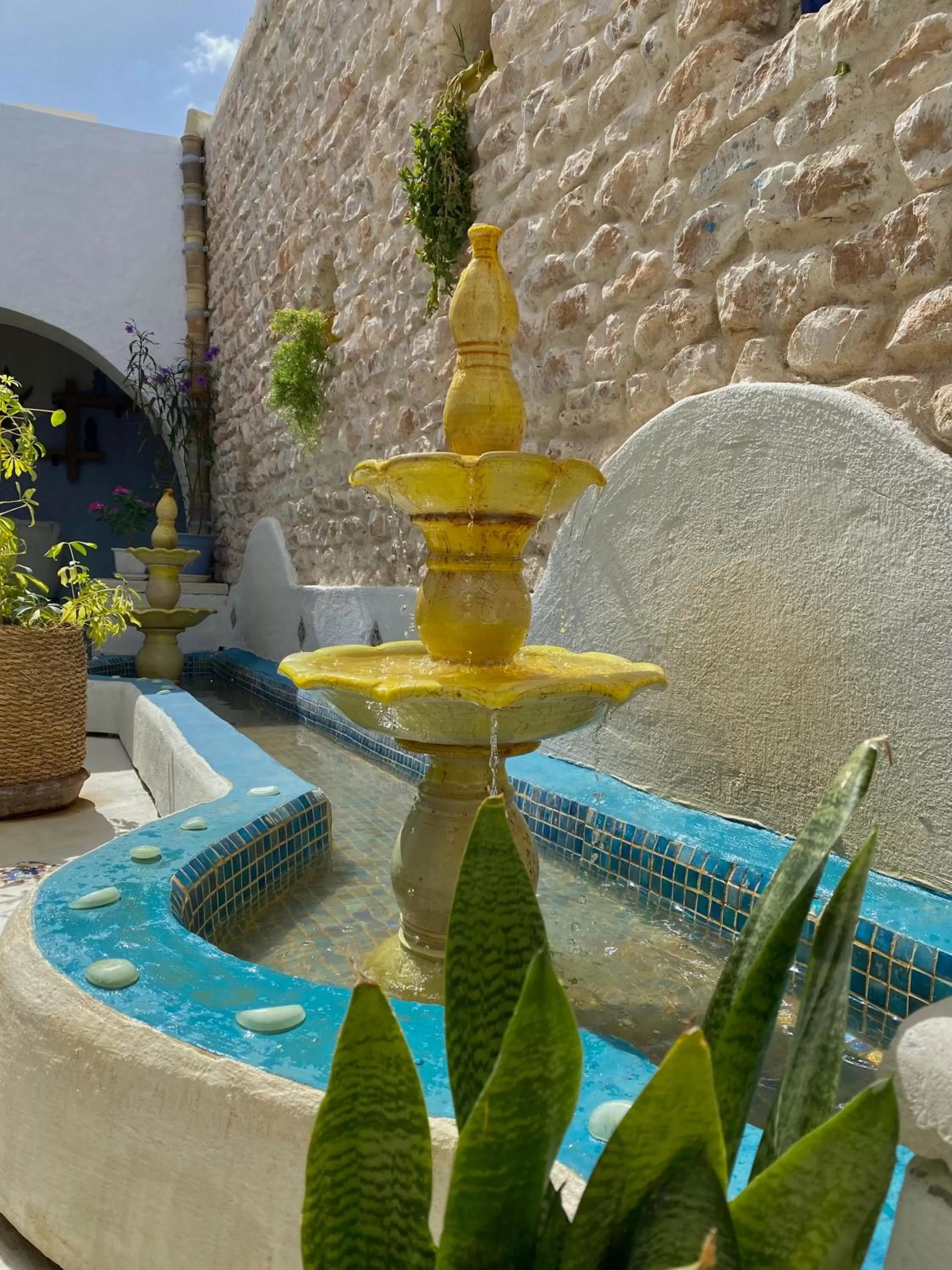 Garden, Swimming Pool in Djerba Authentique