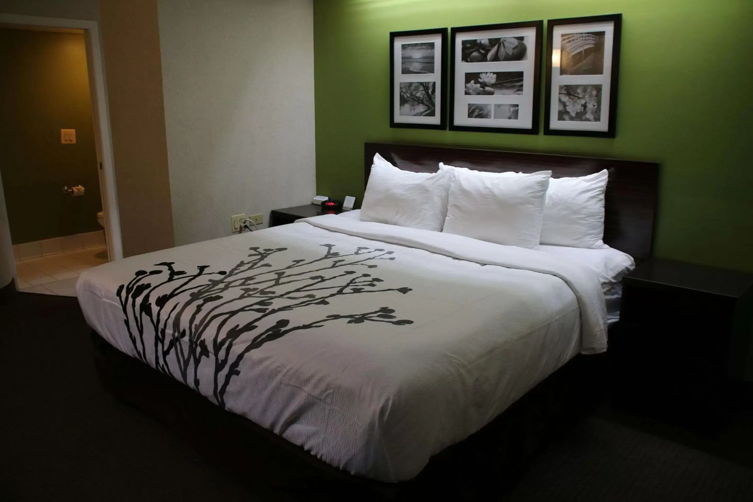 Photo of the whole room, Bed in Sleep Inn near Great Lakes Naval Base