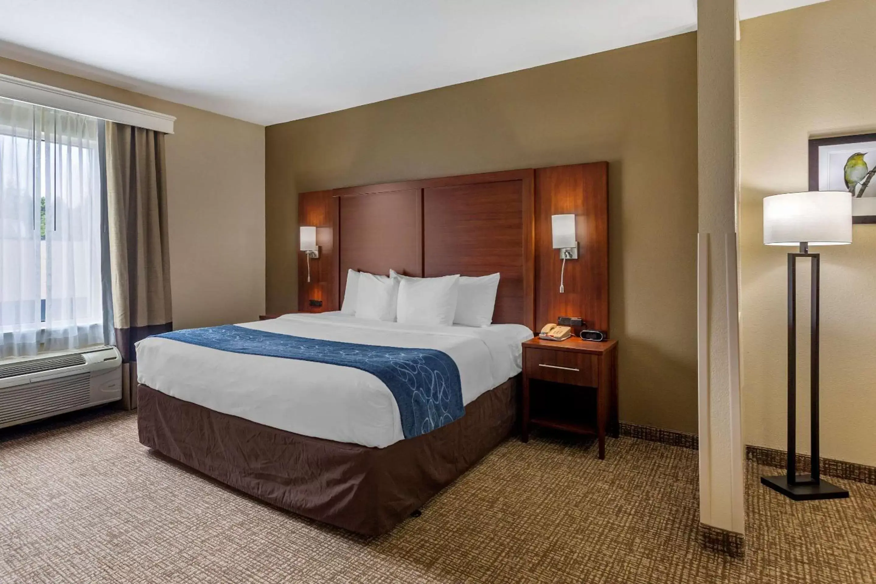 Photo of the whole room, Bed in Comfort Suites At Rivergate Mall